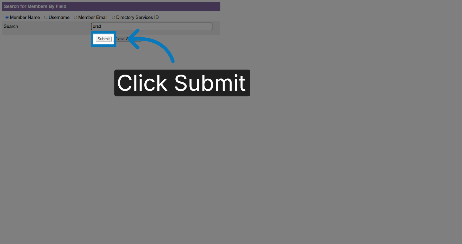 Submit Search Query
