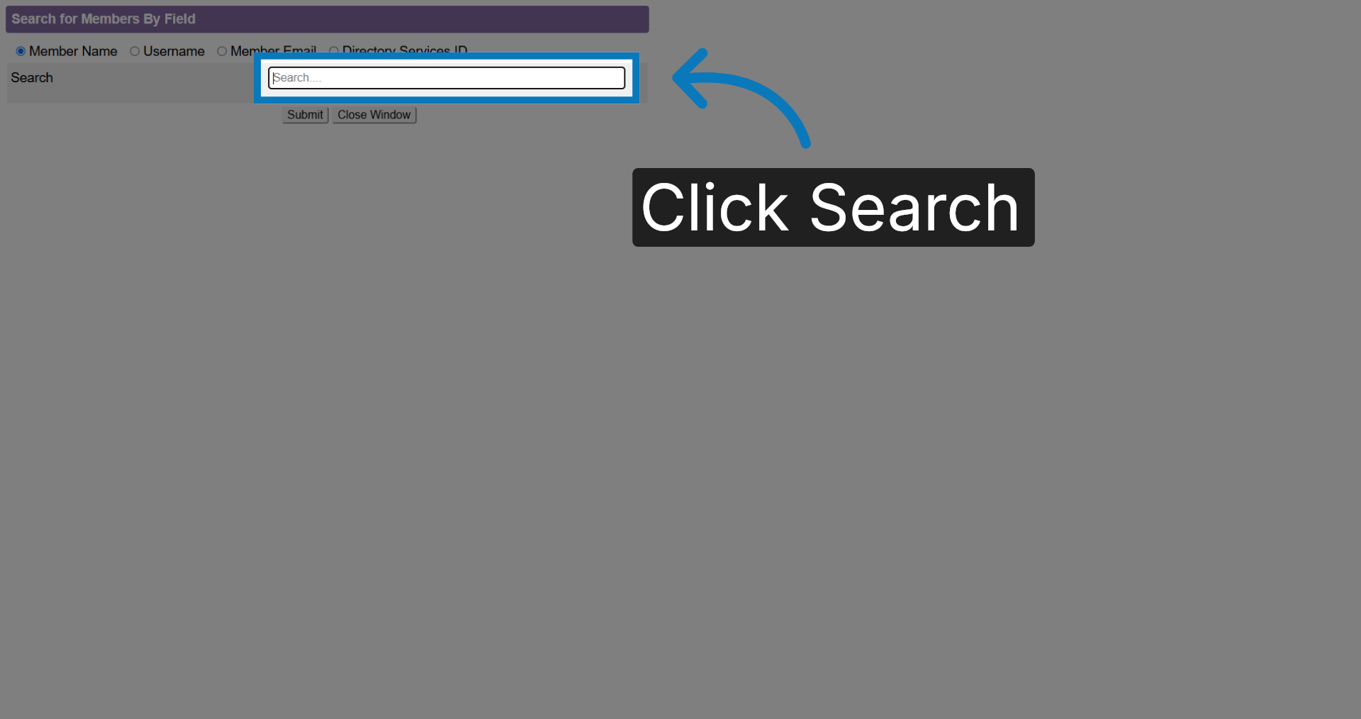 Search Text Box