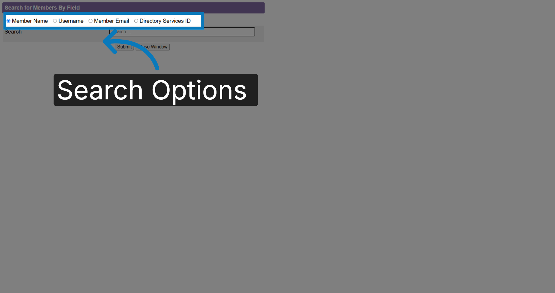 Search Options