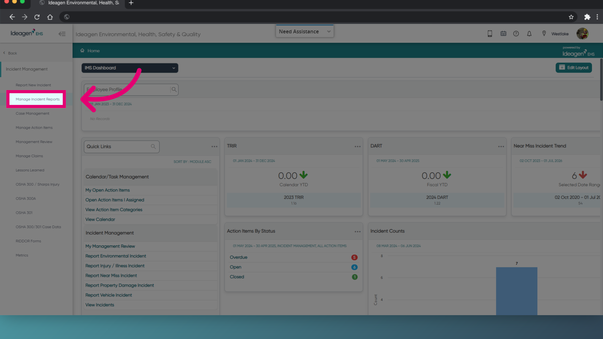 Click 'Manage Incident Reports'
