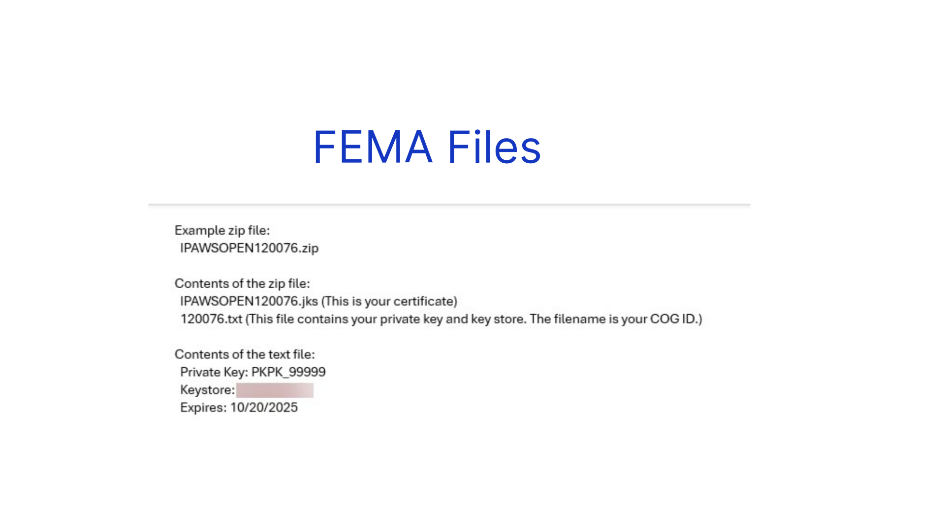 FEMA Files