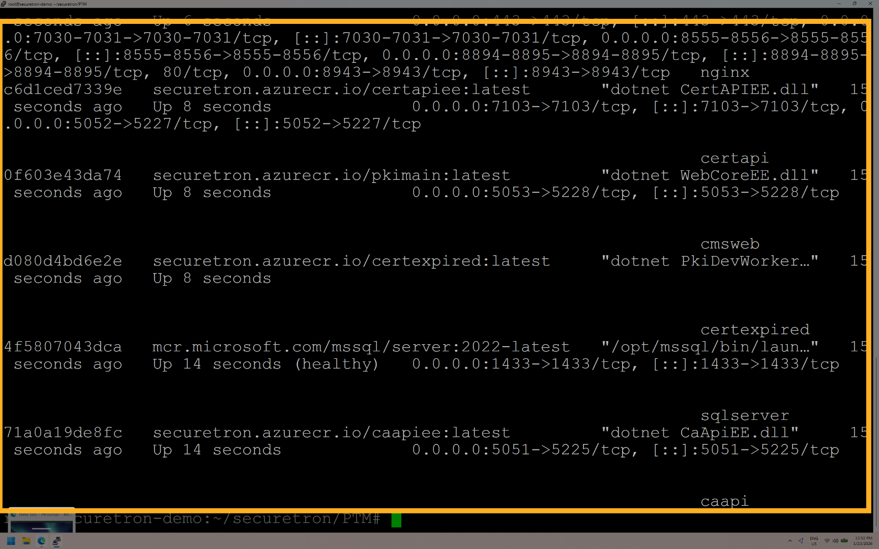 Verify Docker Process
