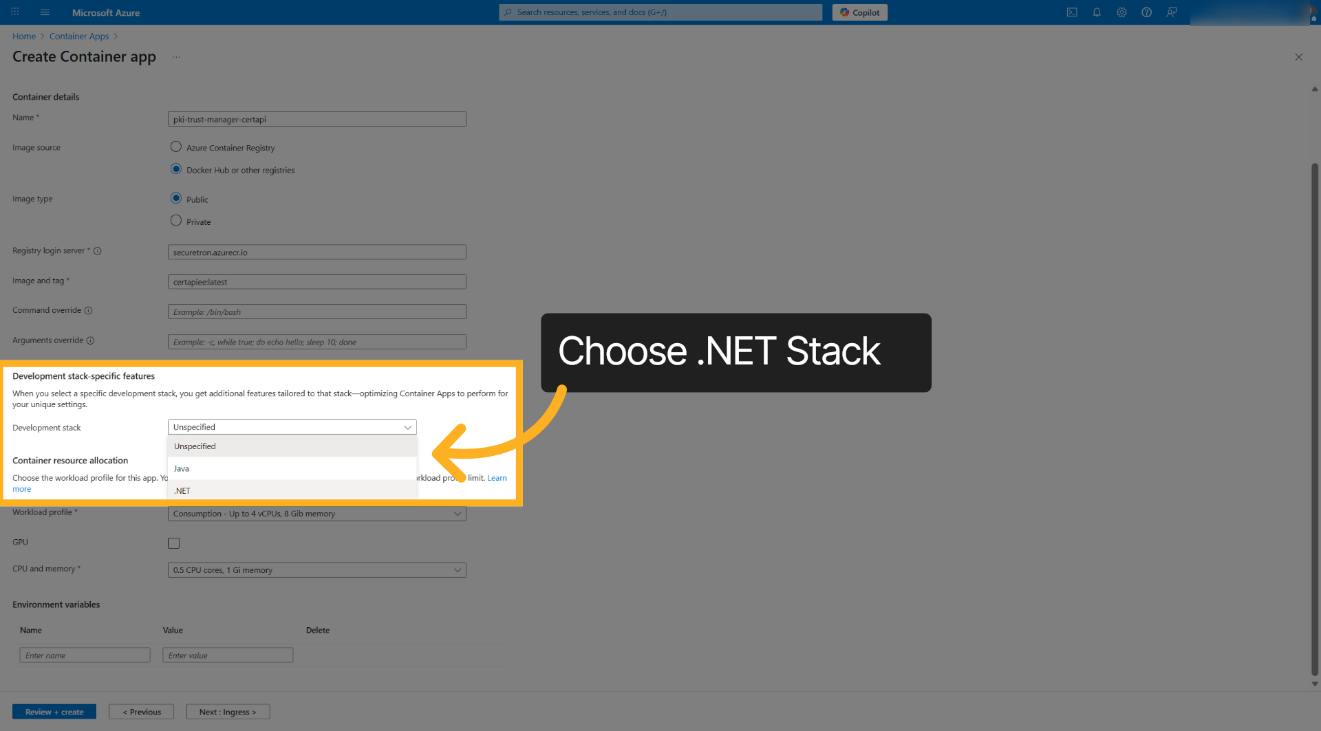 Choose .NET Stack