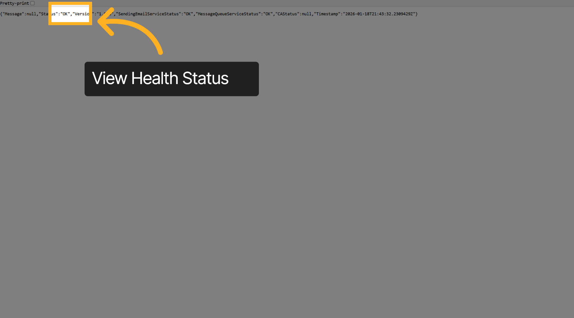 View Health Status Response