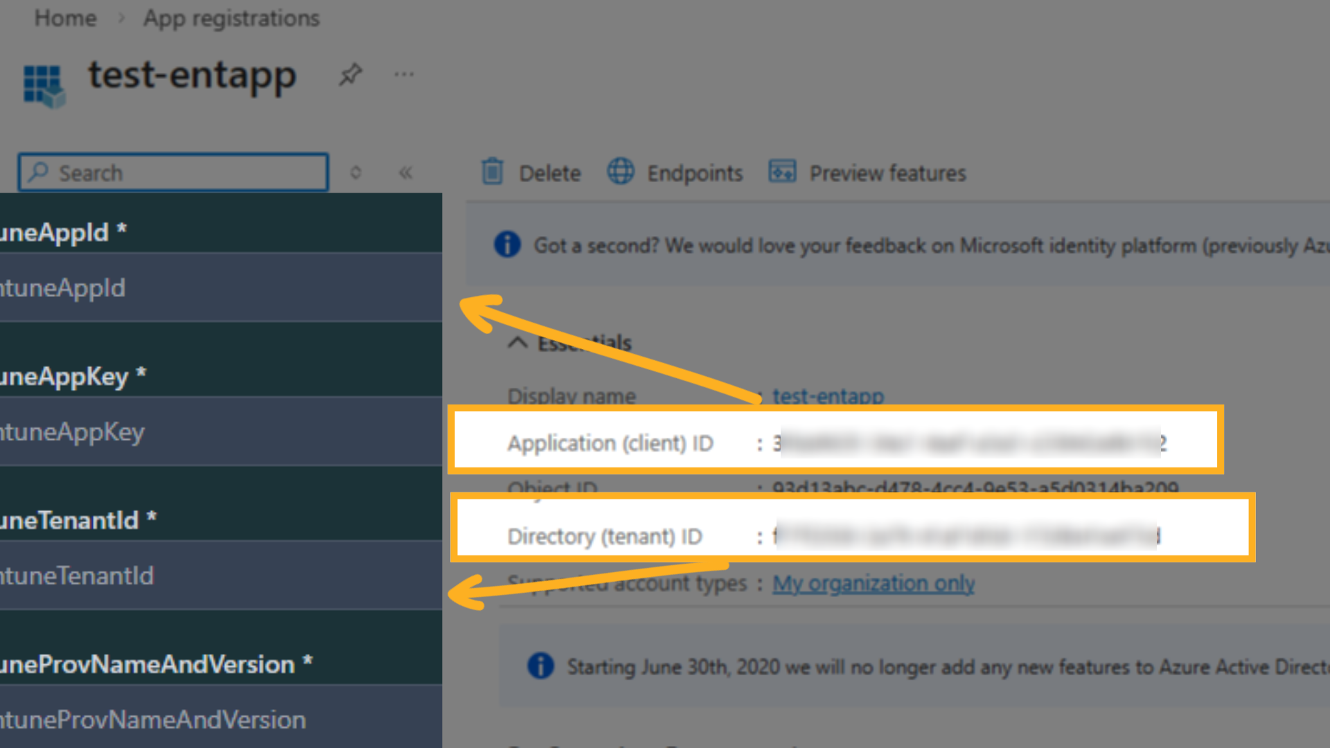 Azure: App ID and Tenant ID