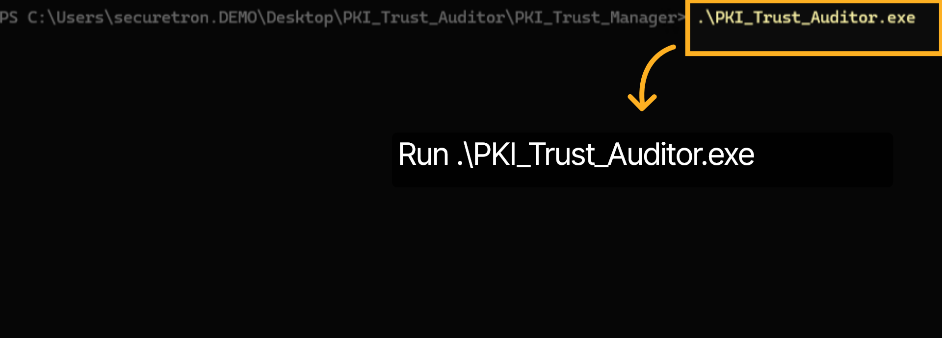 Run PKI Trust Auditor