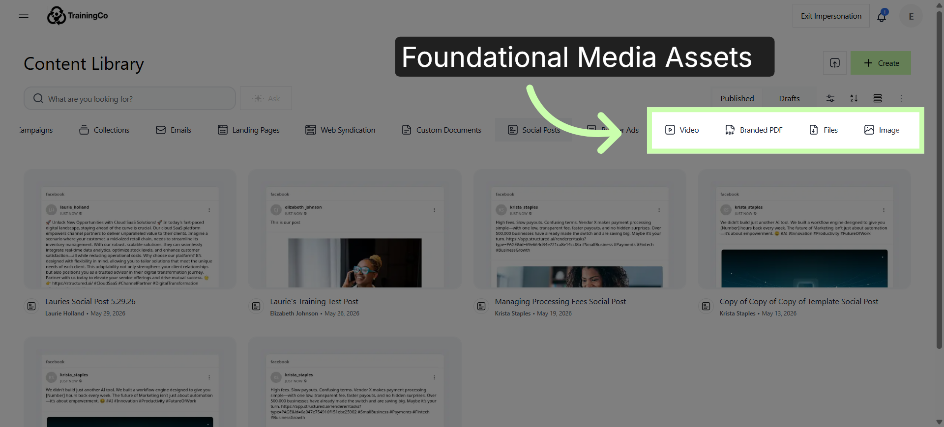 Foundational Media Assets