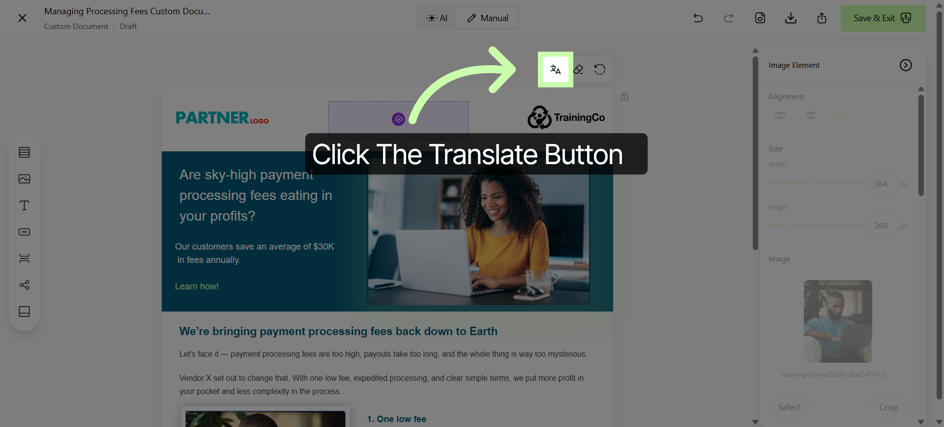 Open Translation Options