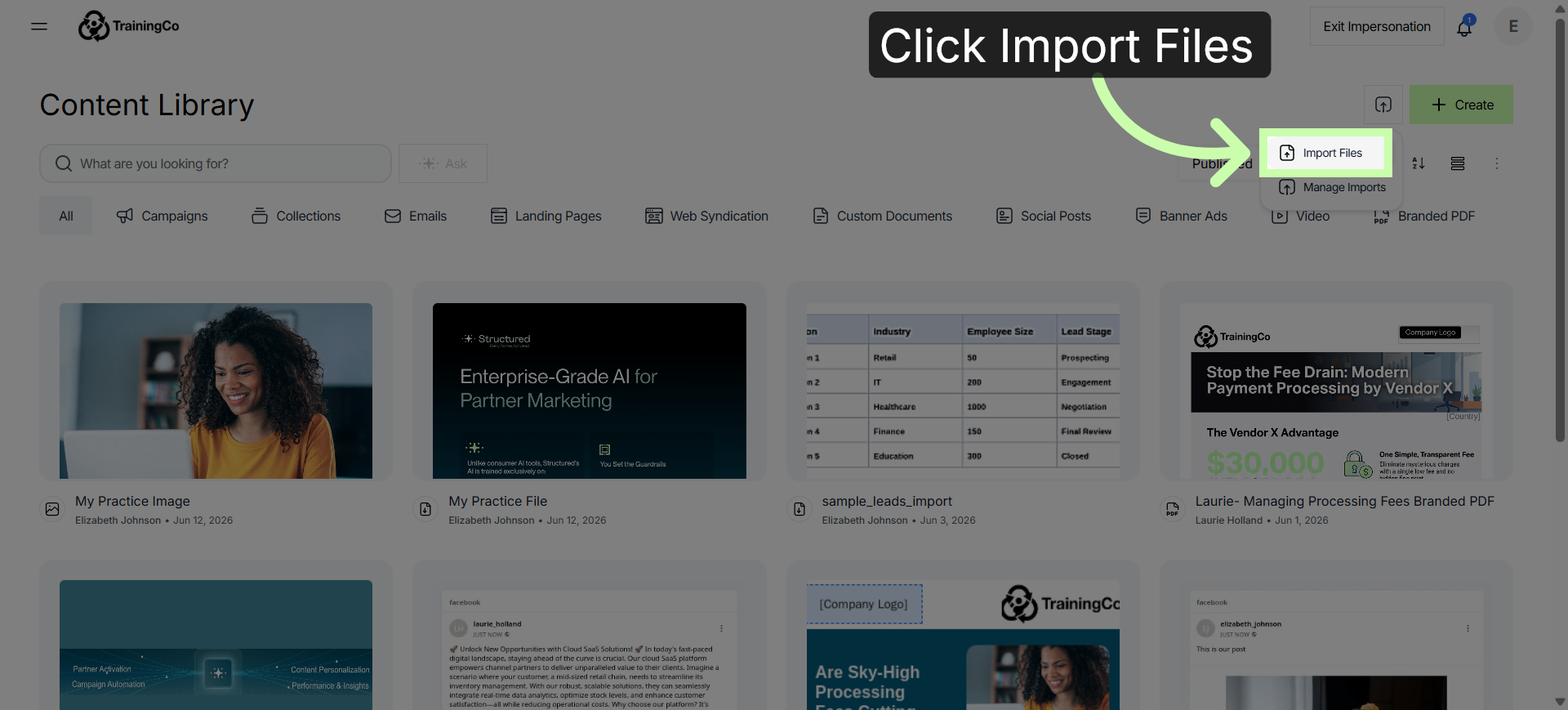 Access Import Files Option