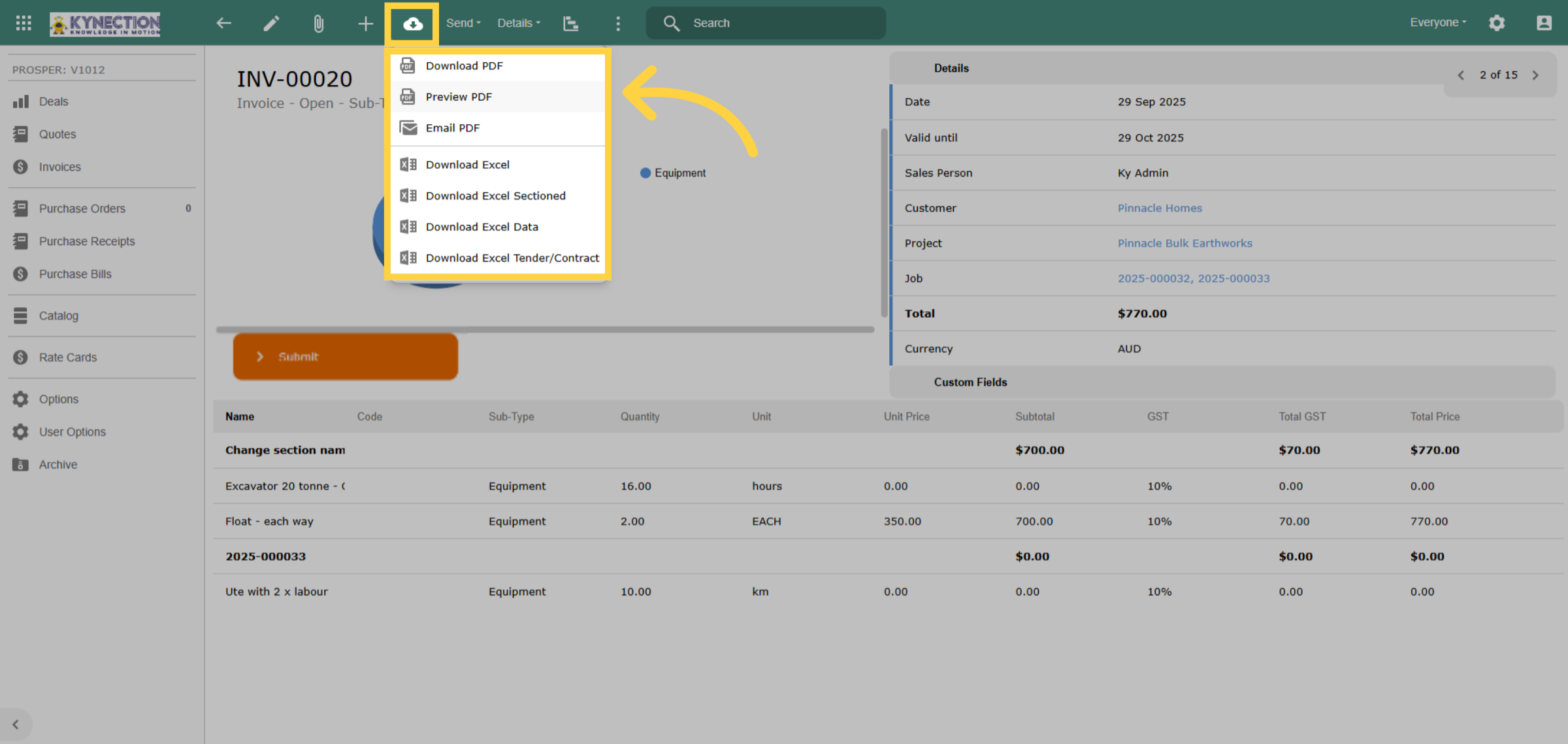 Preview Invoice