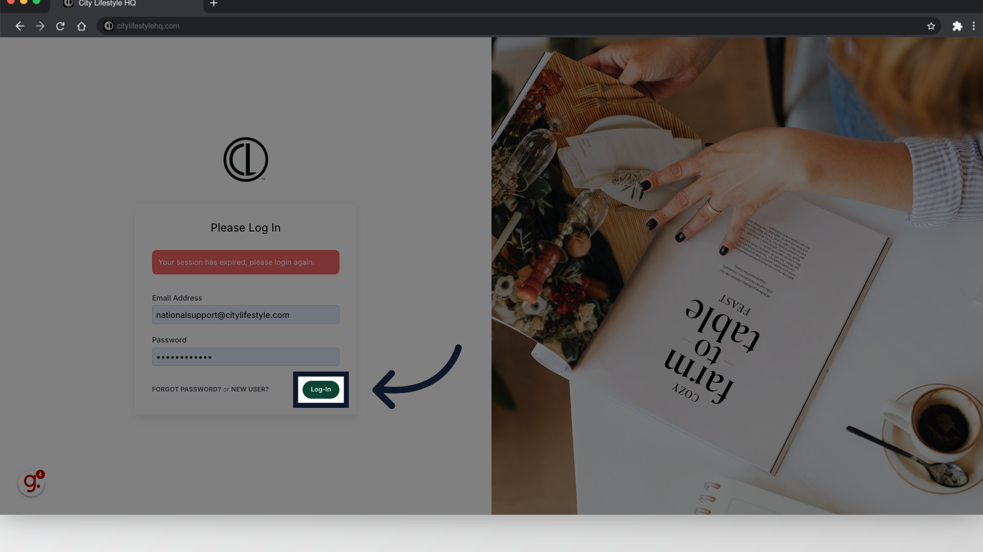 Click 'Log-In'