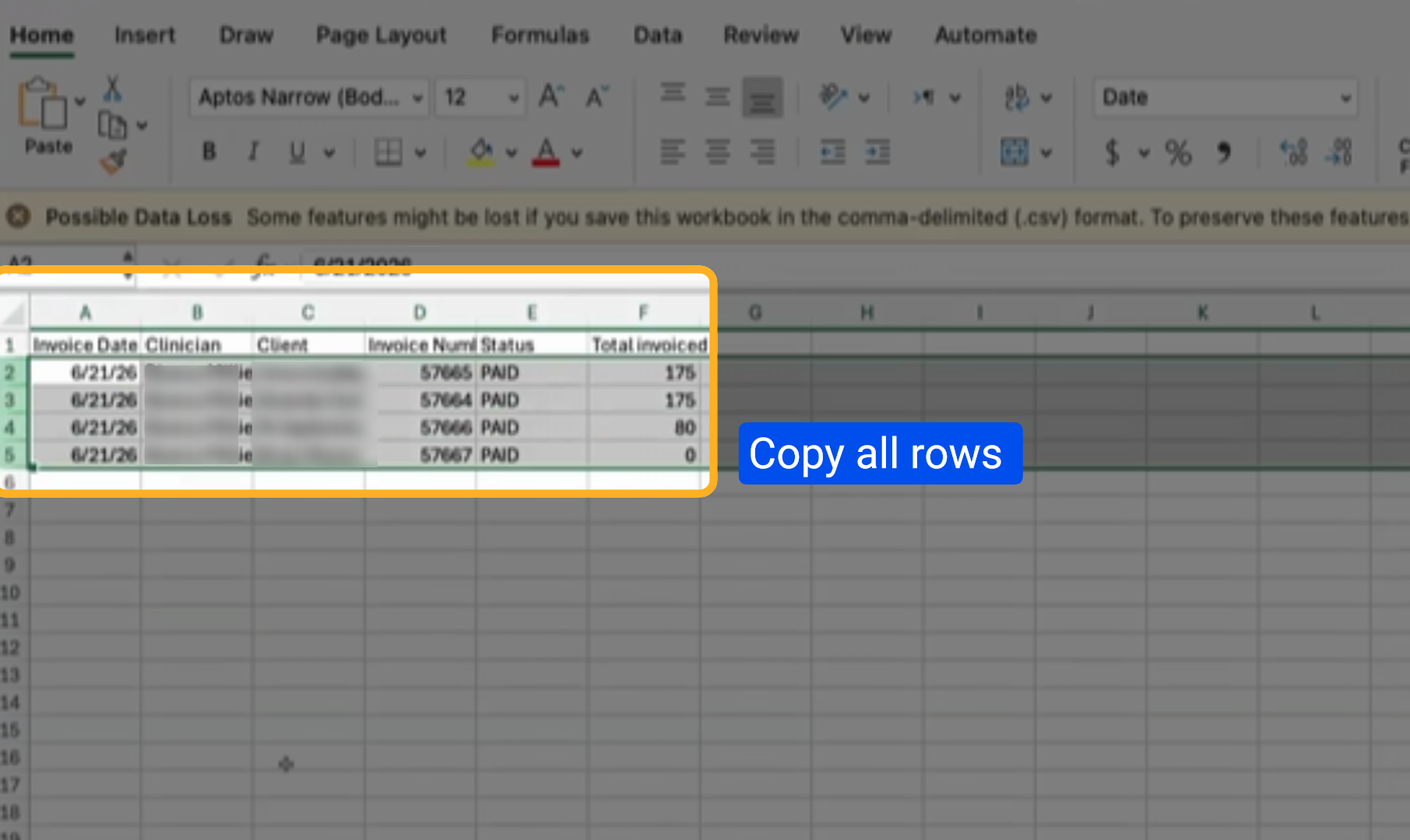 Invoice CSV