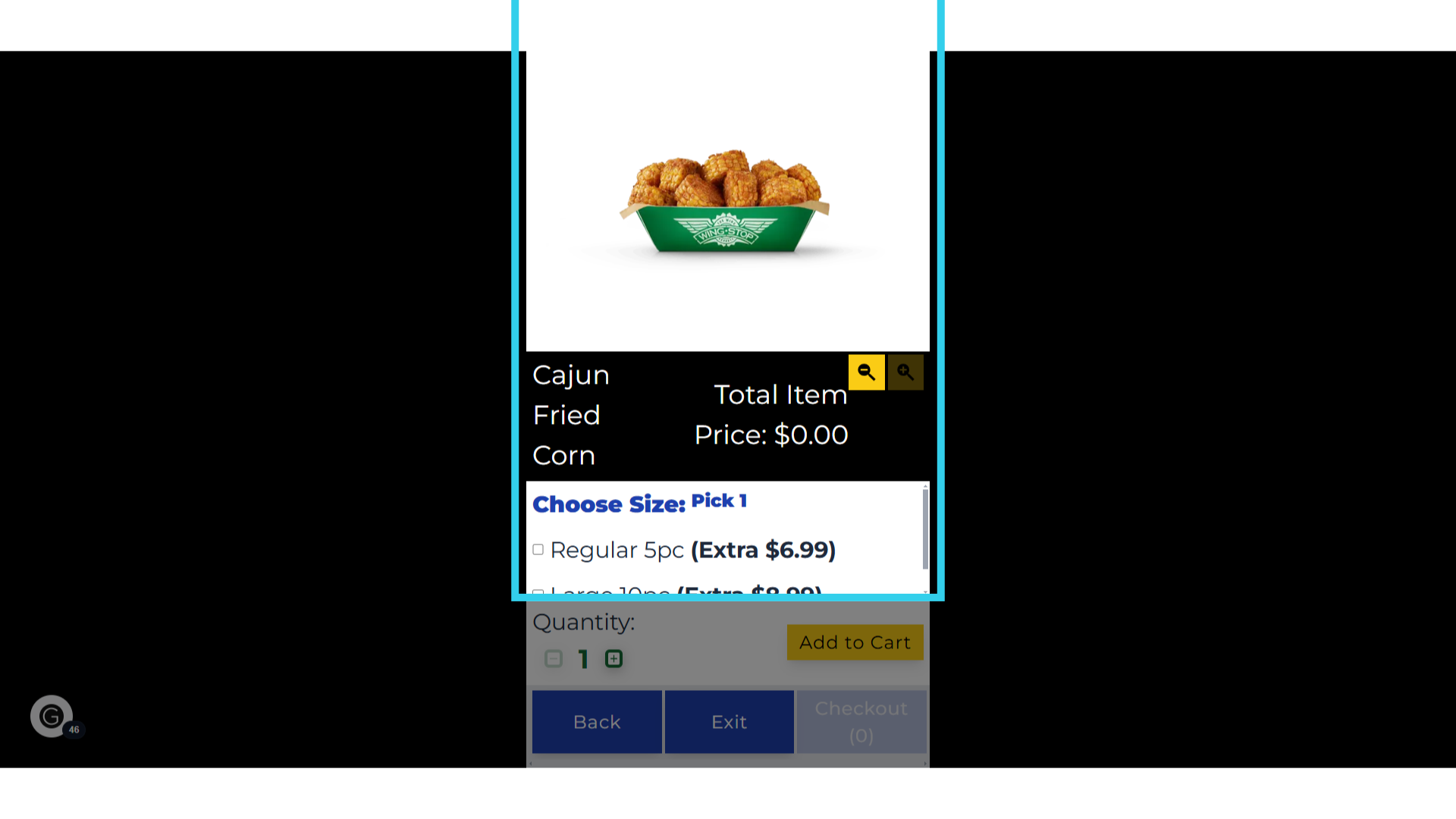 The Kiosk will switch to Item View