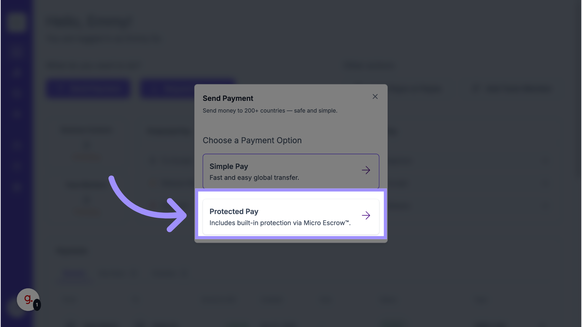 Choose Type of Payment
