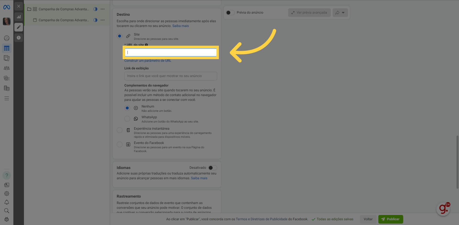 Em campanhas preencha a URL