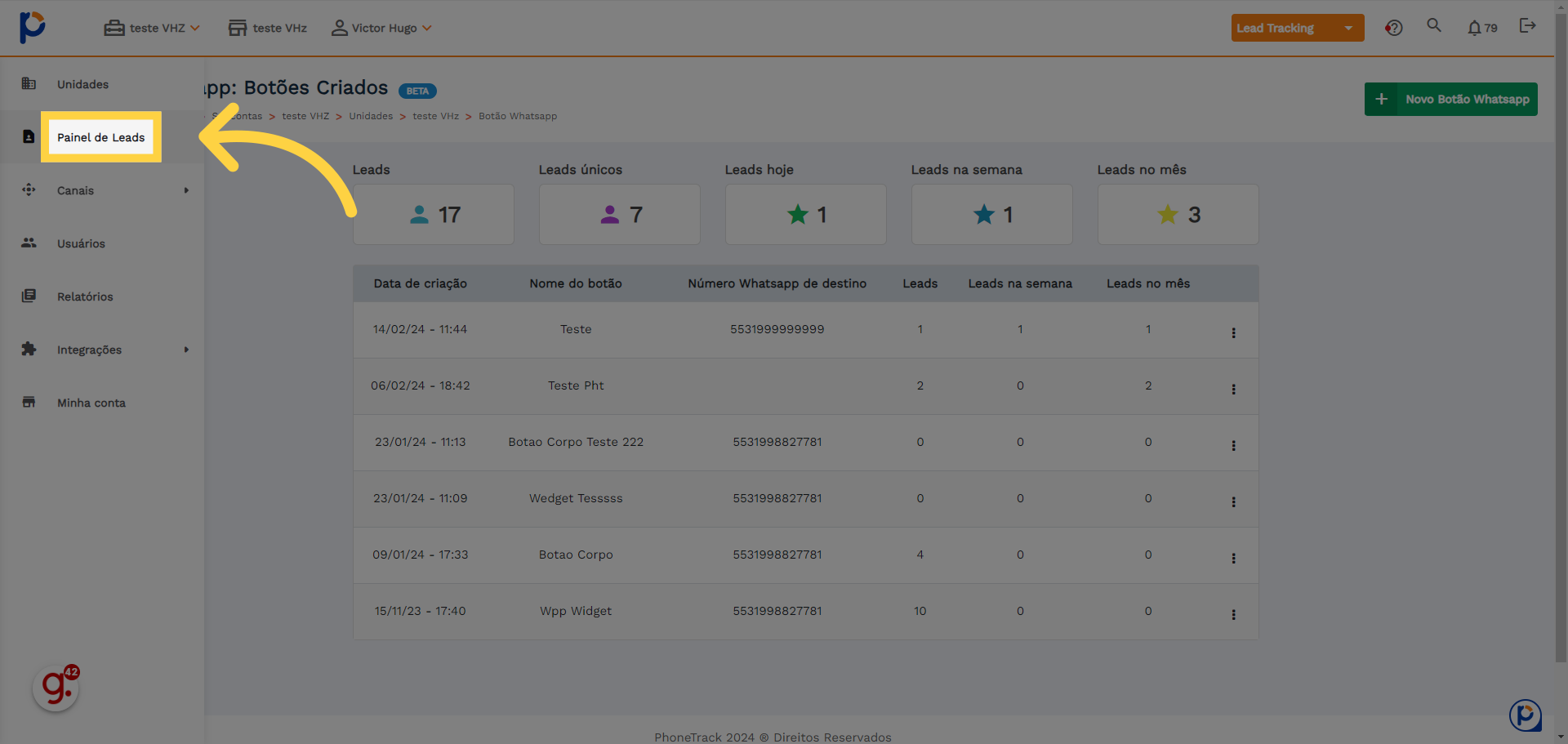 Clique 'Painel de Leads'