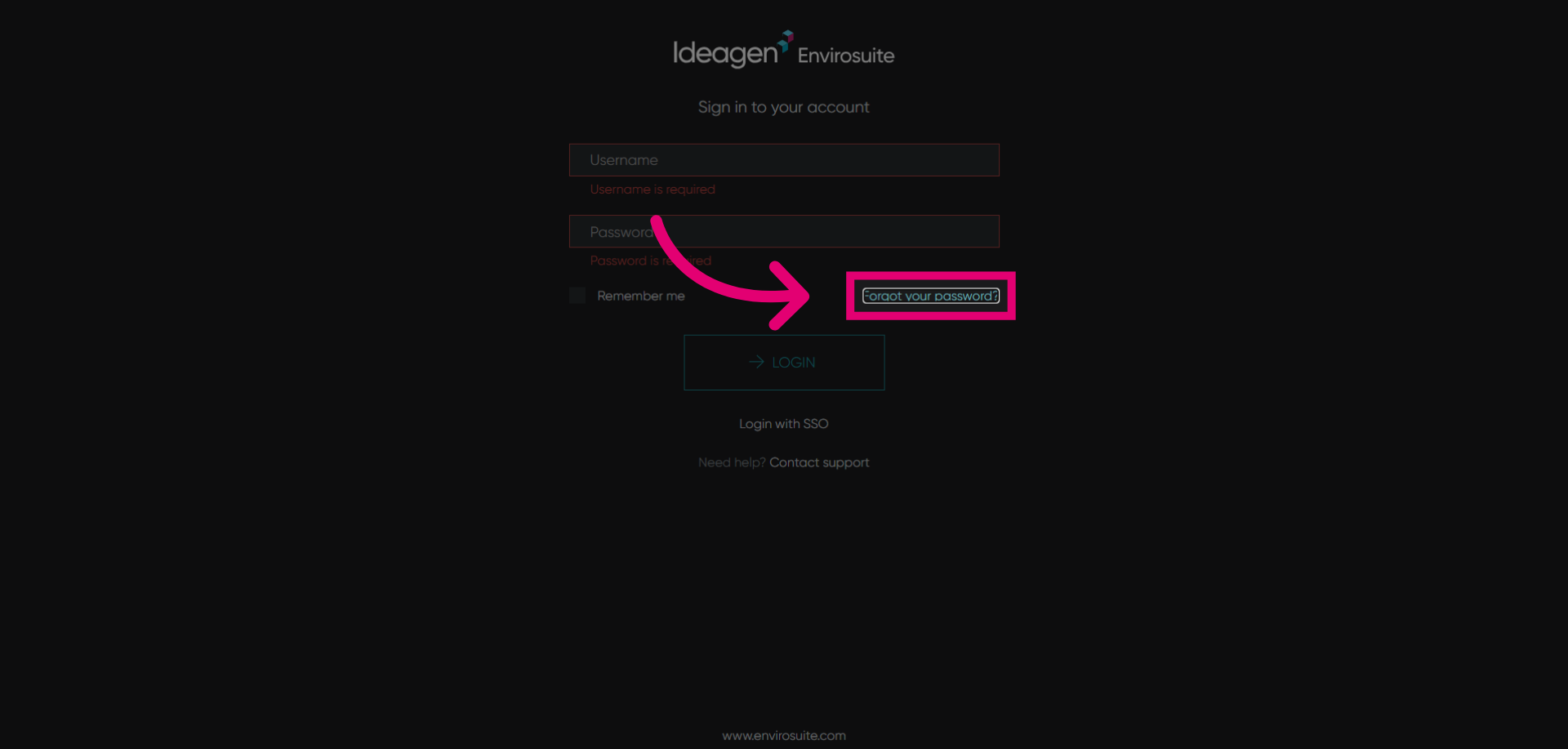 Access Password Reset Page
