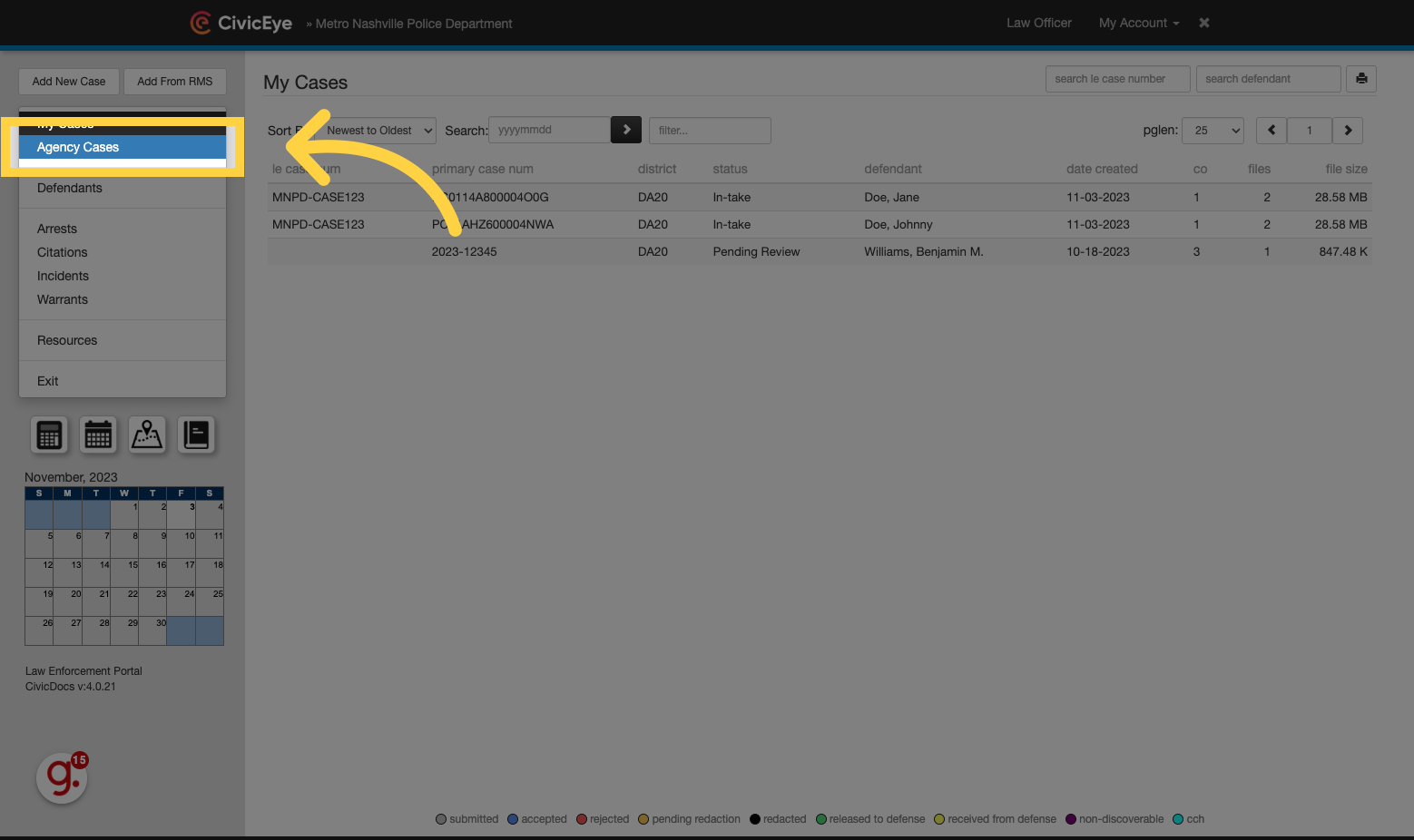 Agency Cases view