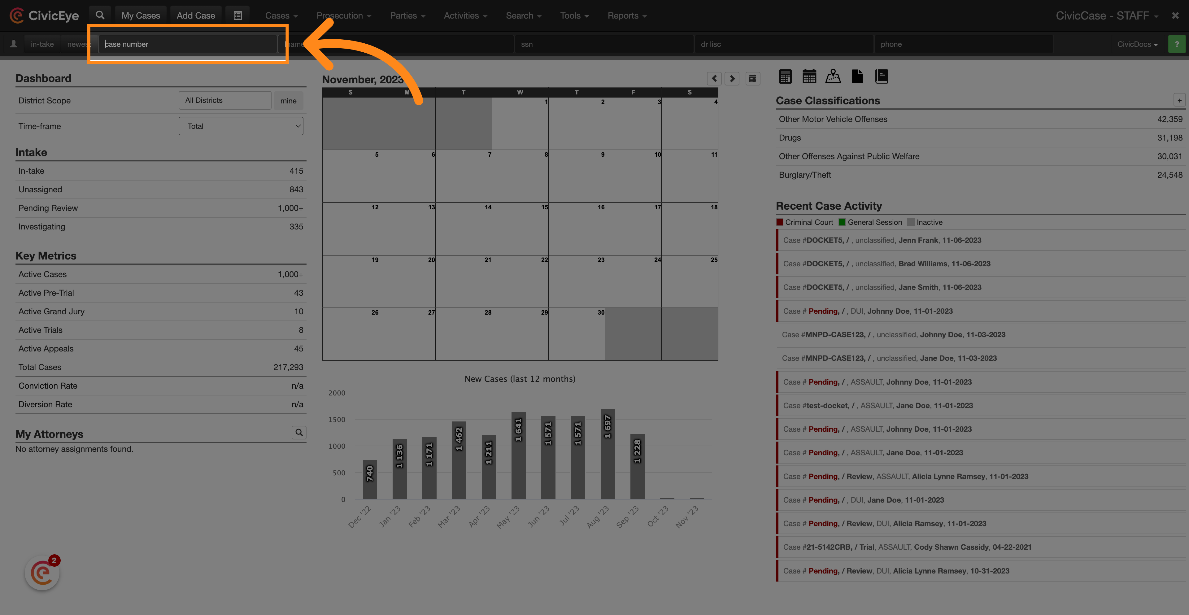 Case Search Options