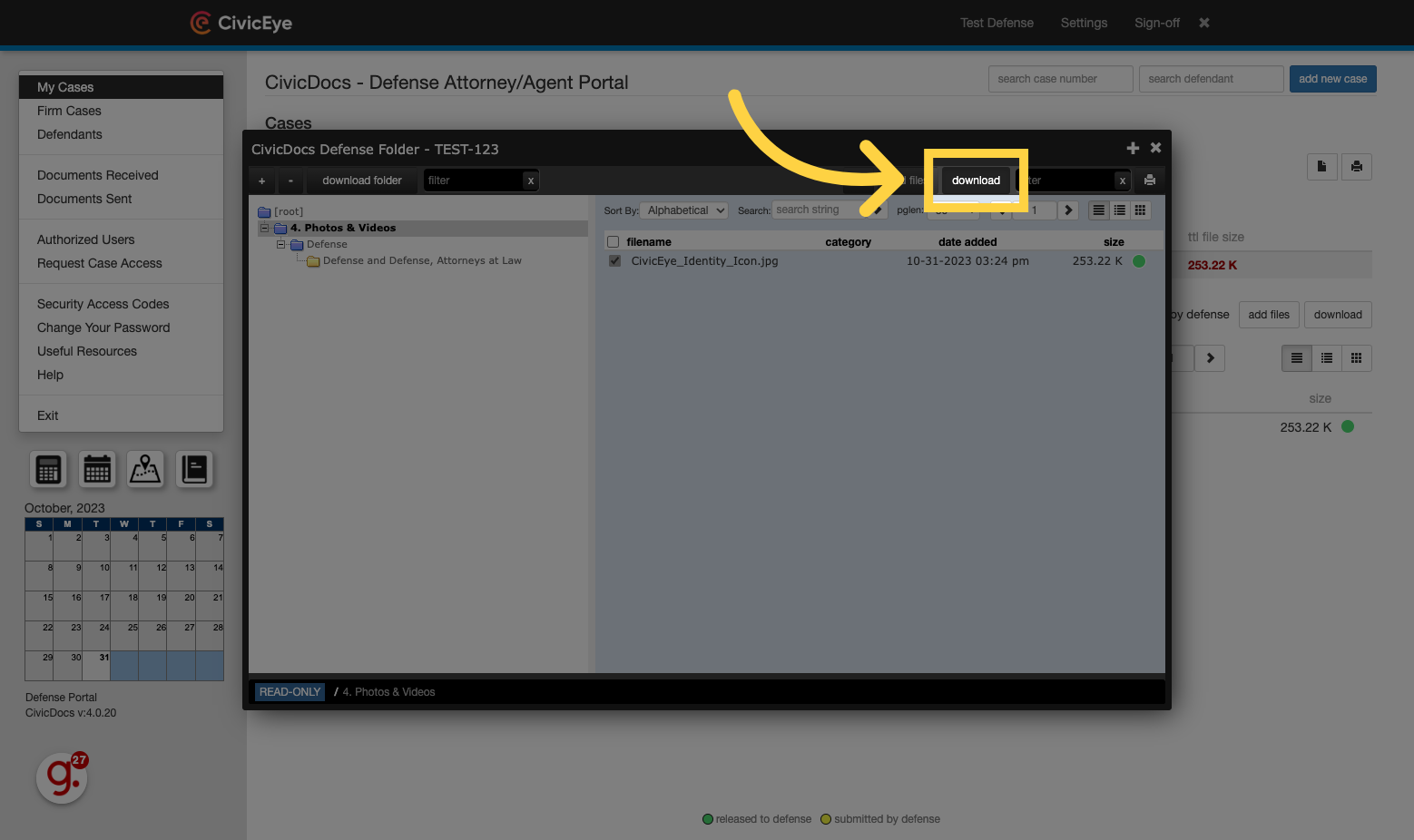 Click 'download' to download individual file(s)