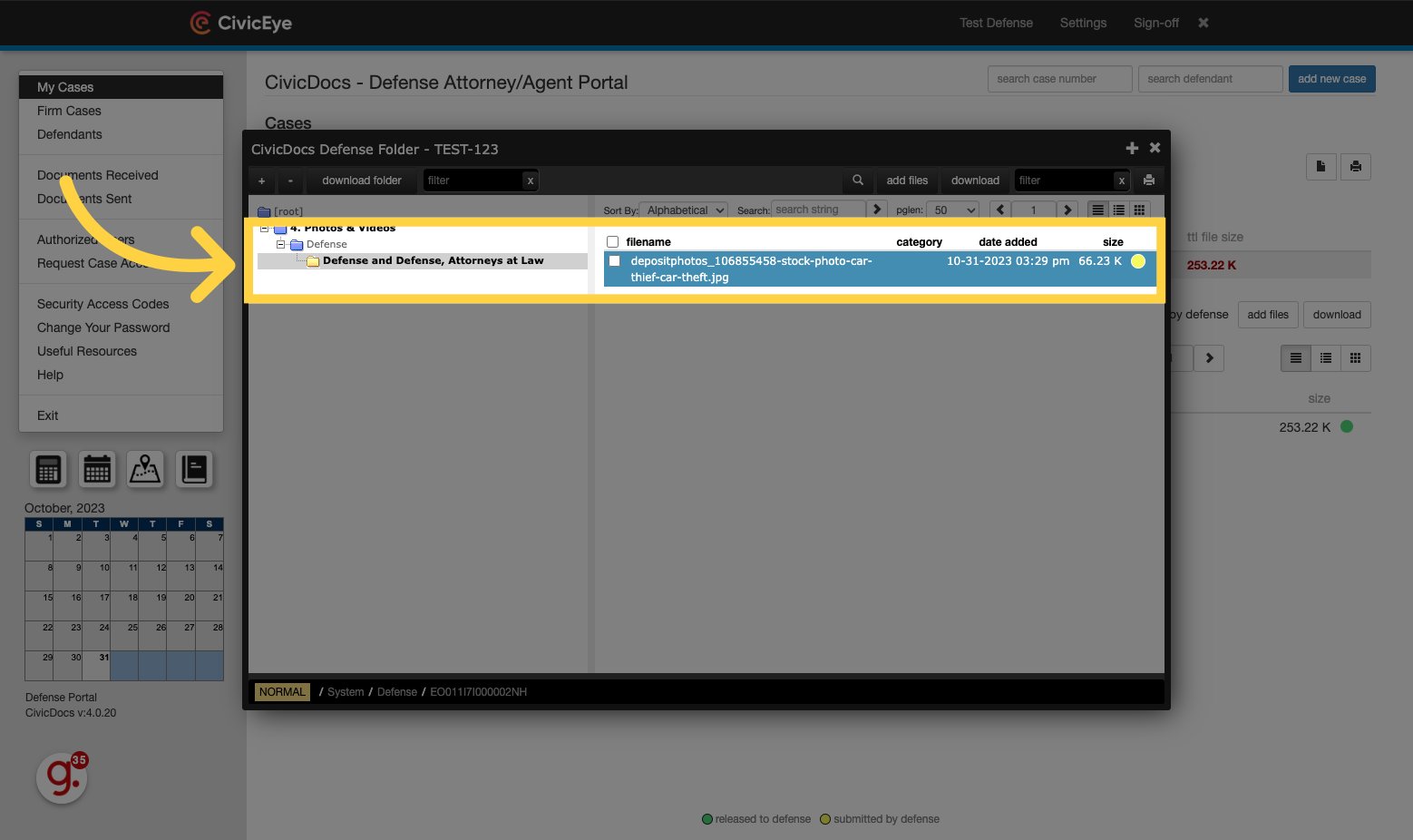 Viewing Defense-uploaded files in the folder view