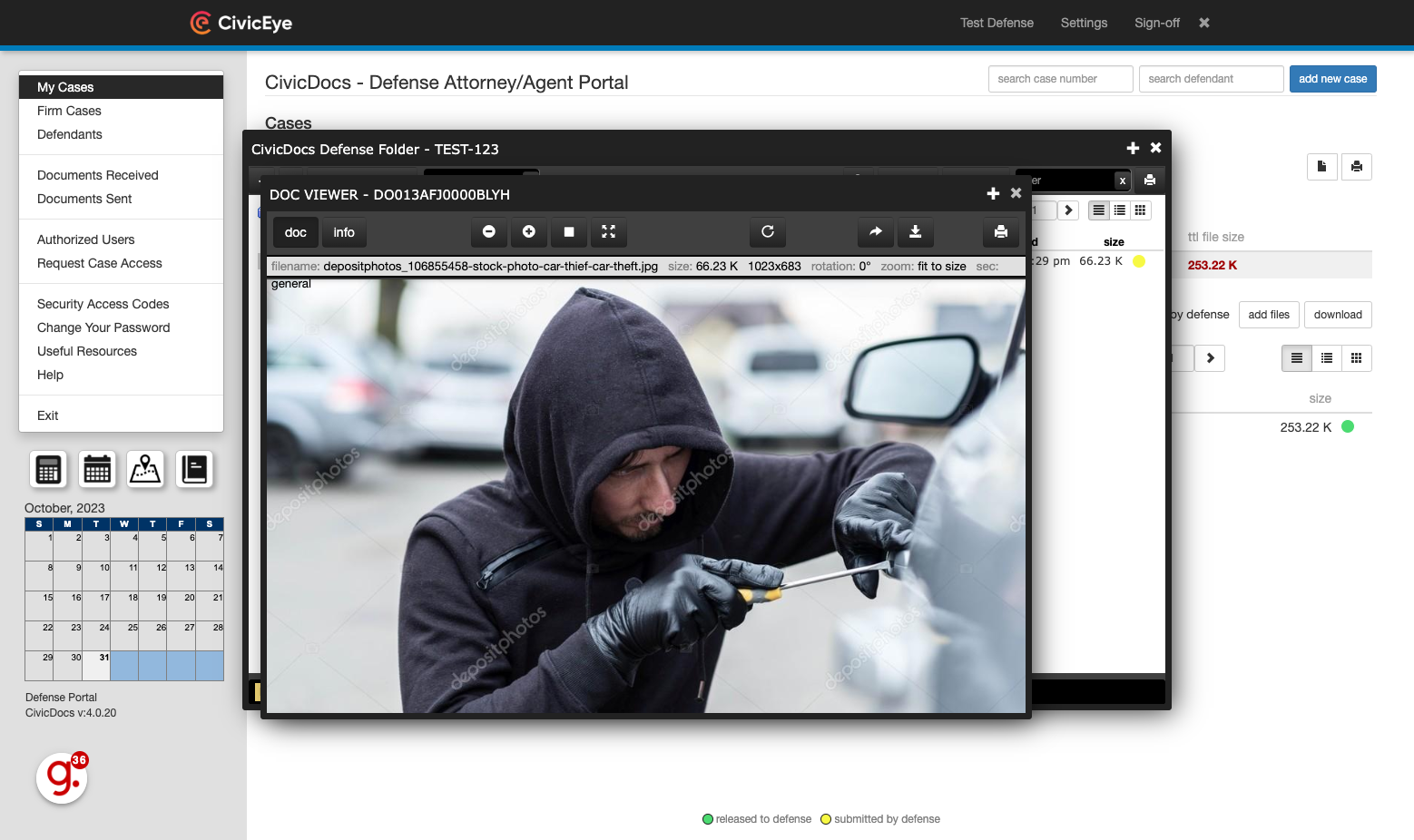 Viewing a Defense File in the Document Viewer