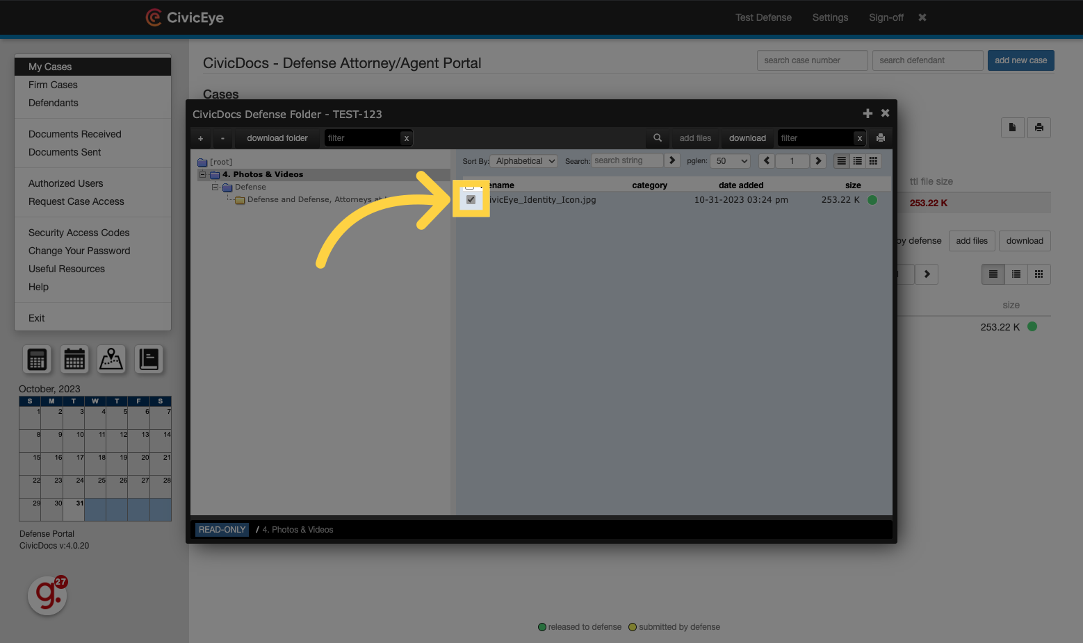 Selecting a single file to download