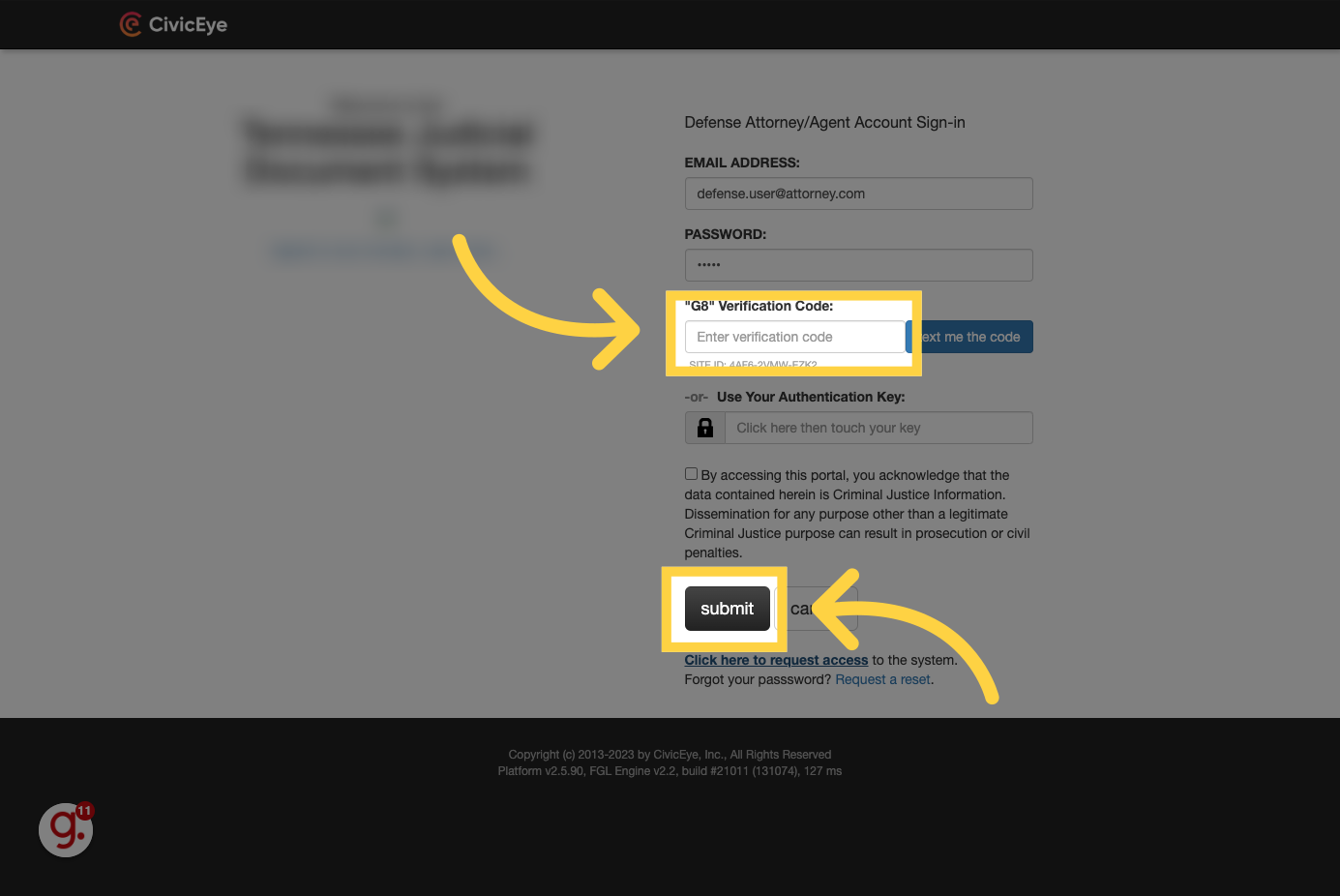 Enter the code and login
