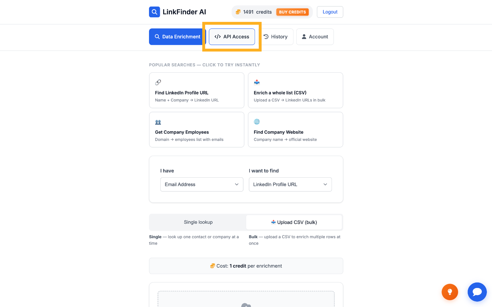 Open API Access