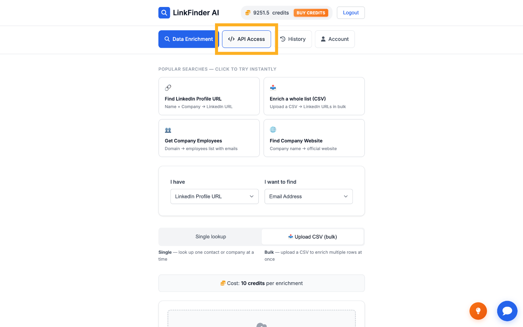 Open API Access Section