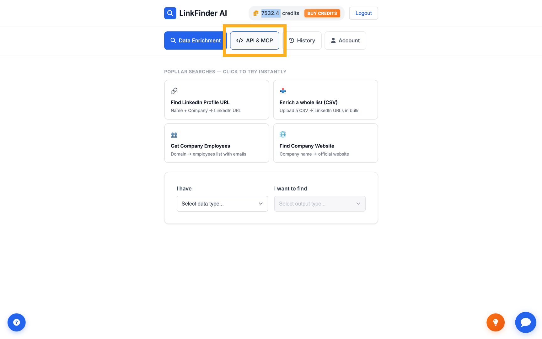 Access API & MCP Section
