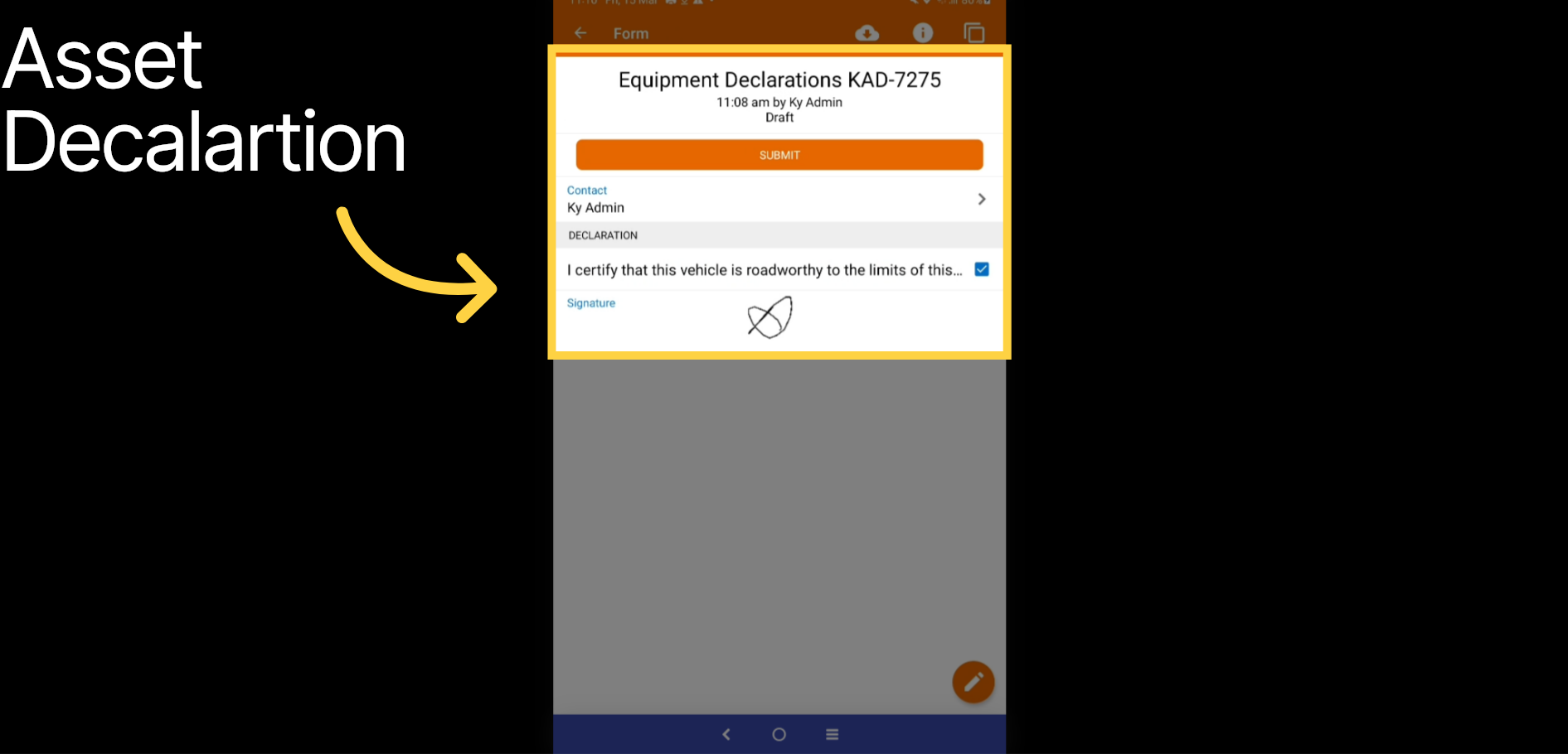 Assets Declarations