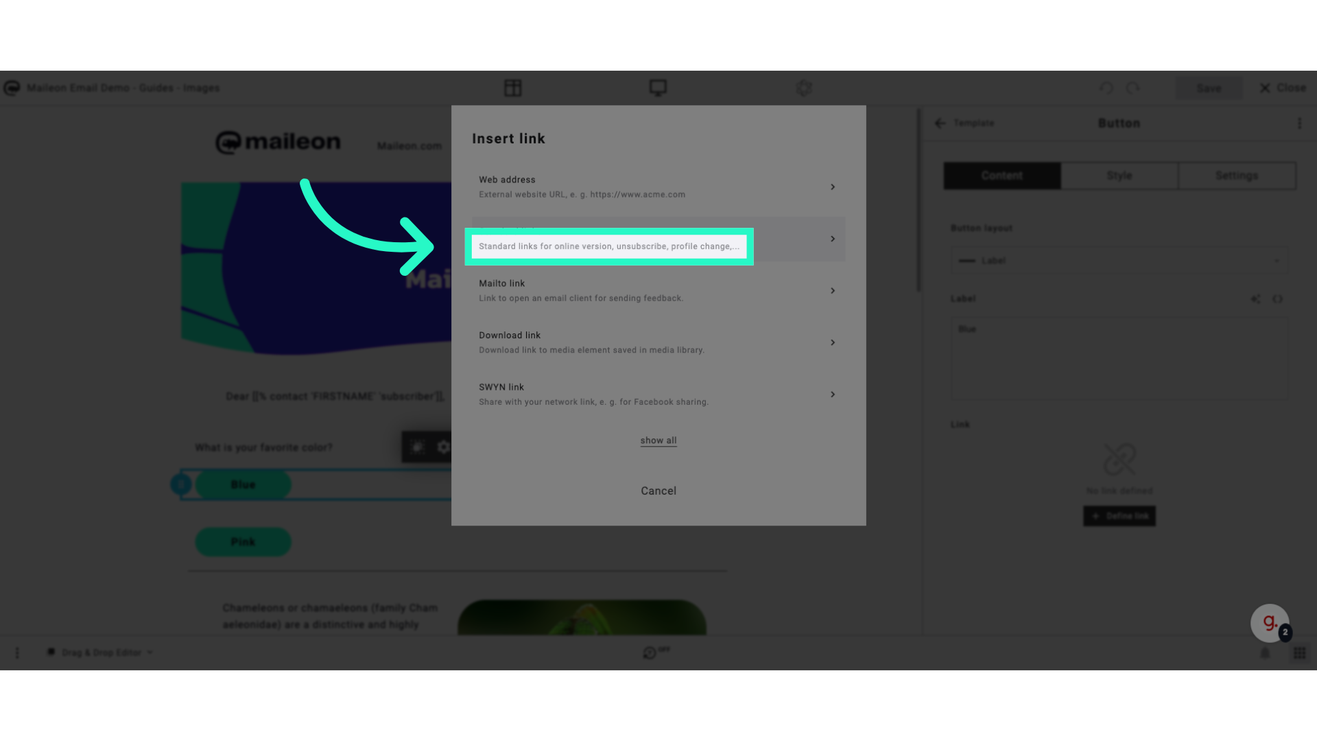 Click 'Standard links for online version, unsubscribe, profile change,...'