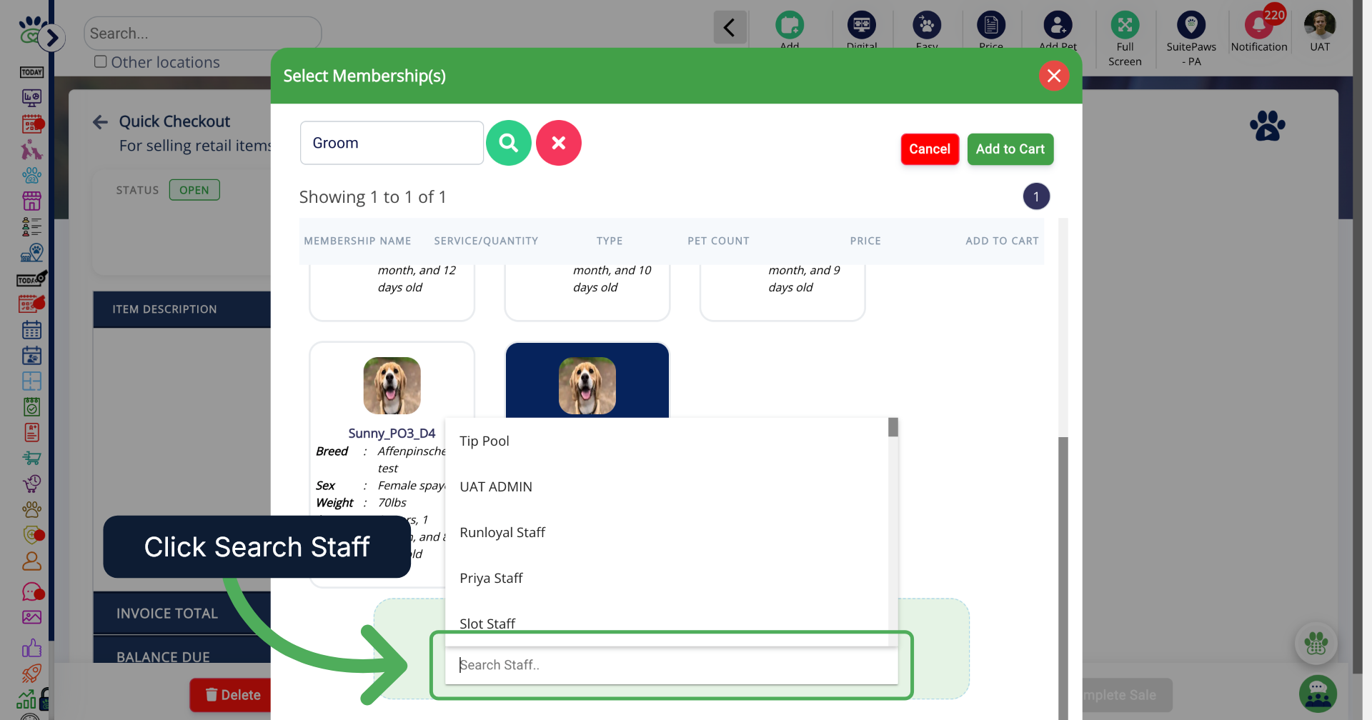 Search for Staff Member