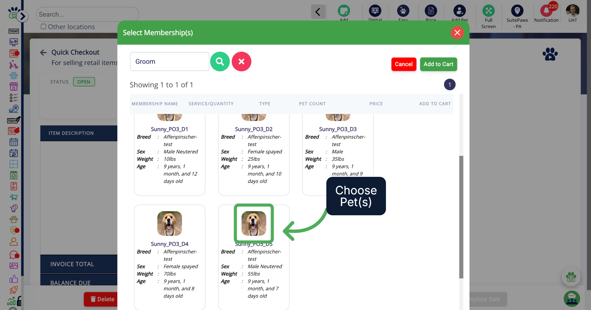 Choose the Pet(s)