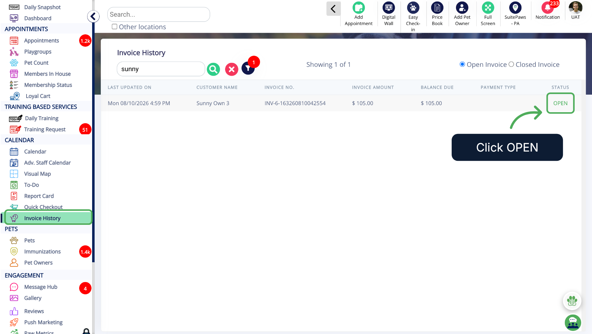 Open any Invoice