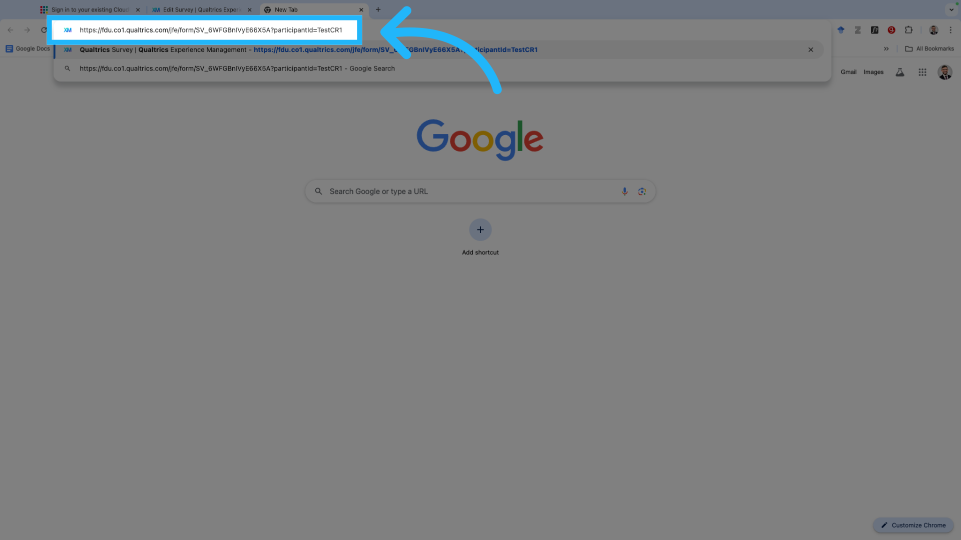 Paste the URL into a new browser tab