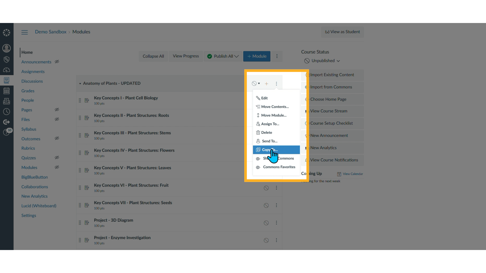 Opening Lesson Options