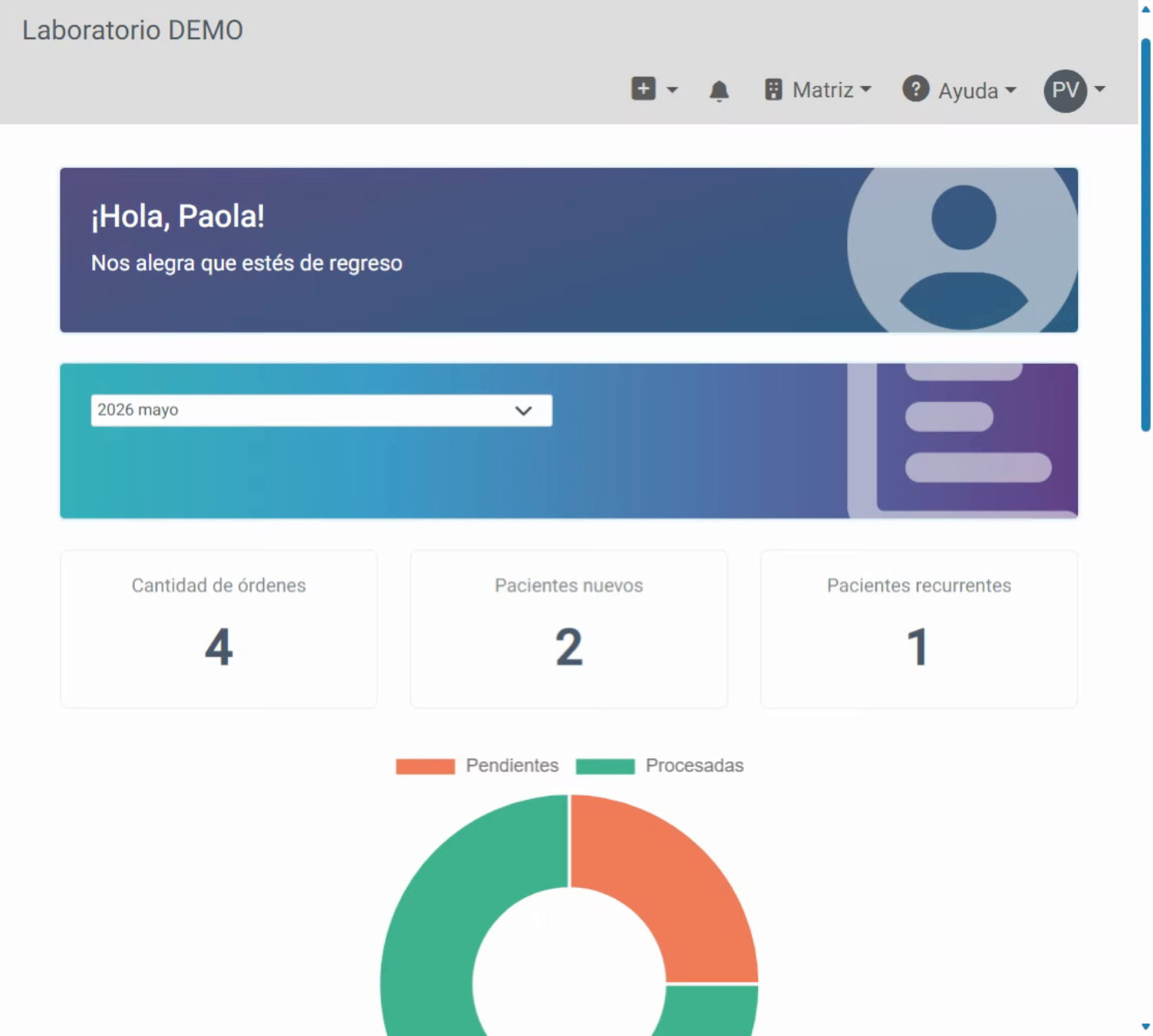 Acceder a Opciones de Soporte