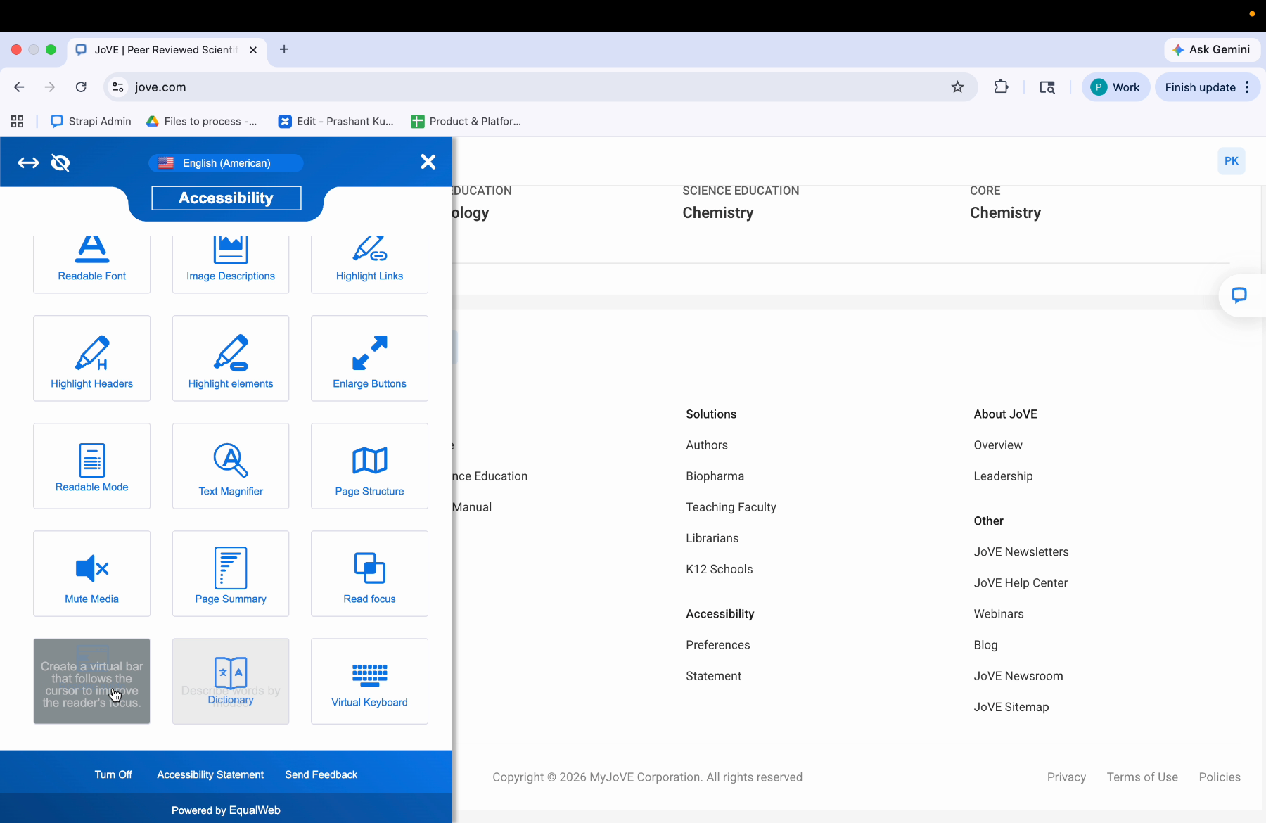 Accessibility Profiles Option