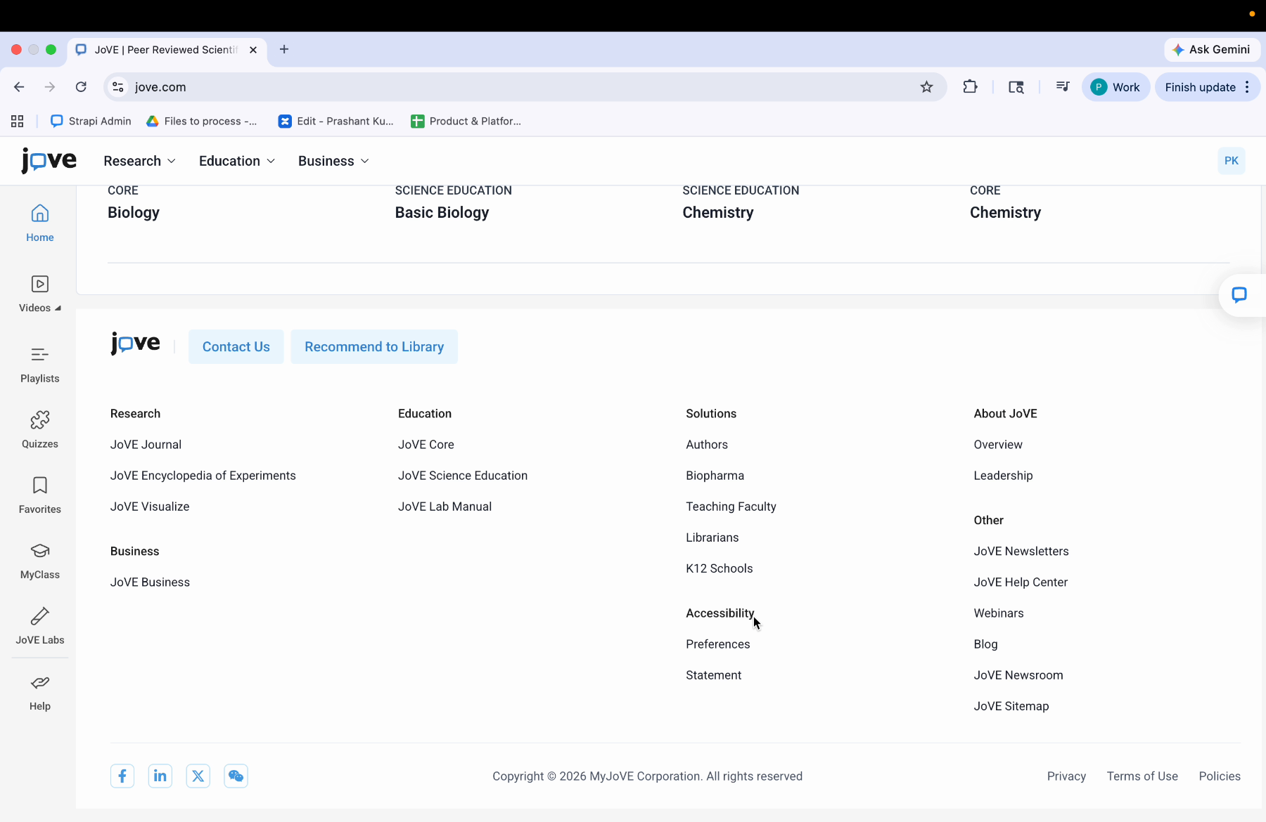 Accessibility Footer Options