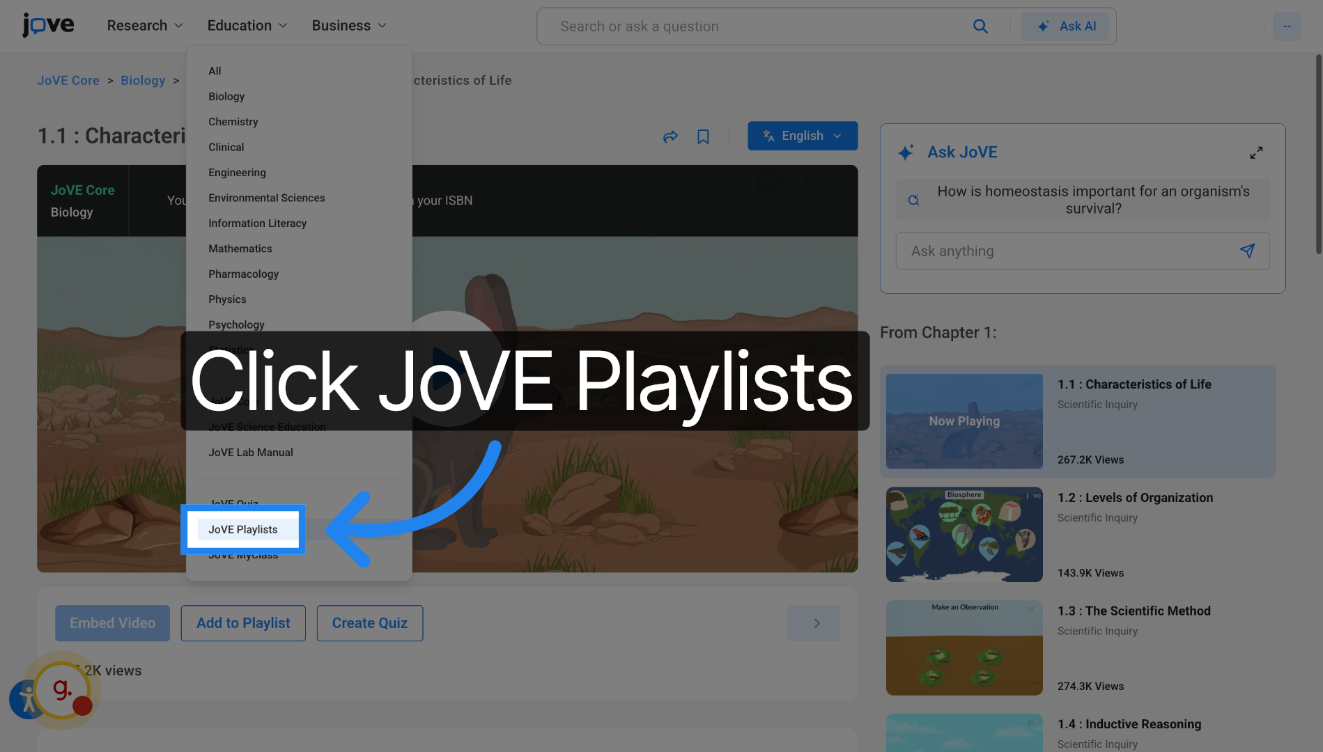 Open Playlists Section