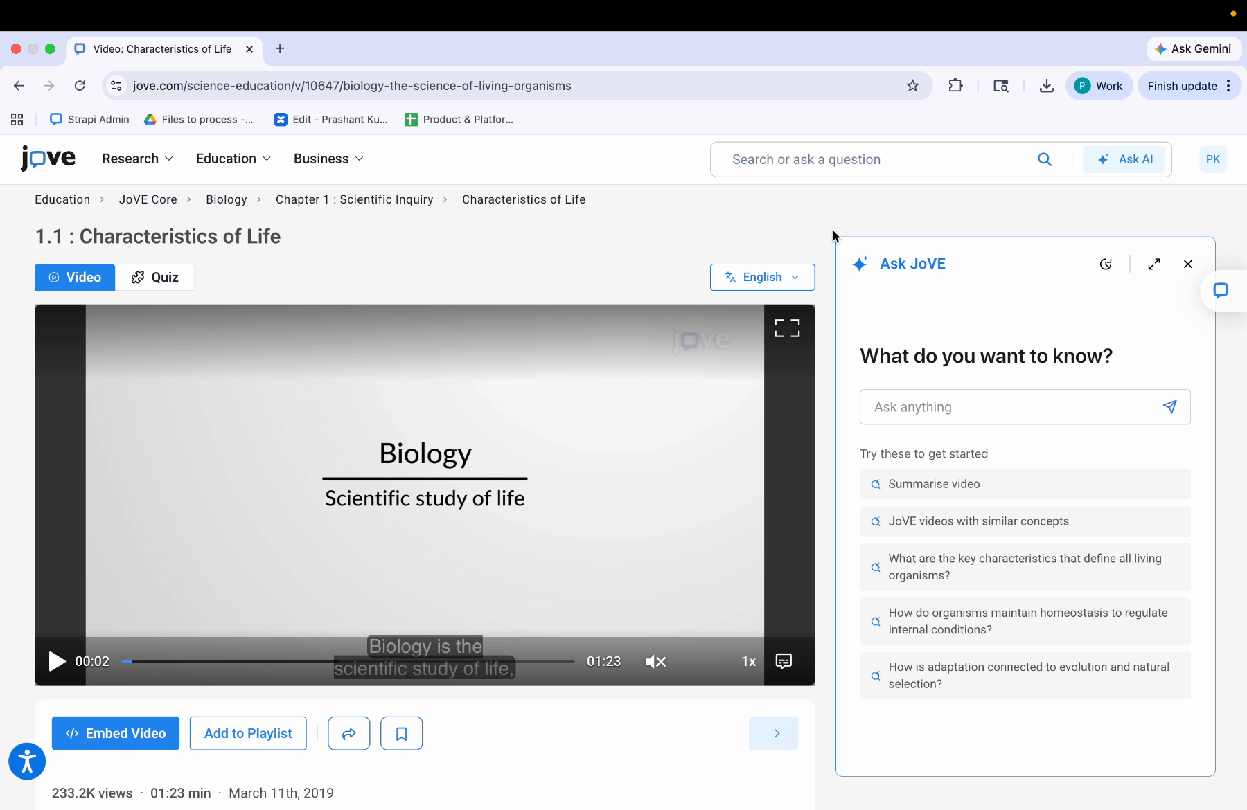 Video Purpose And Language Change
