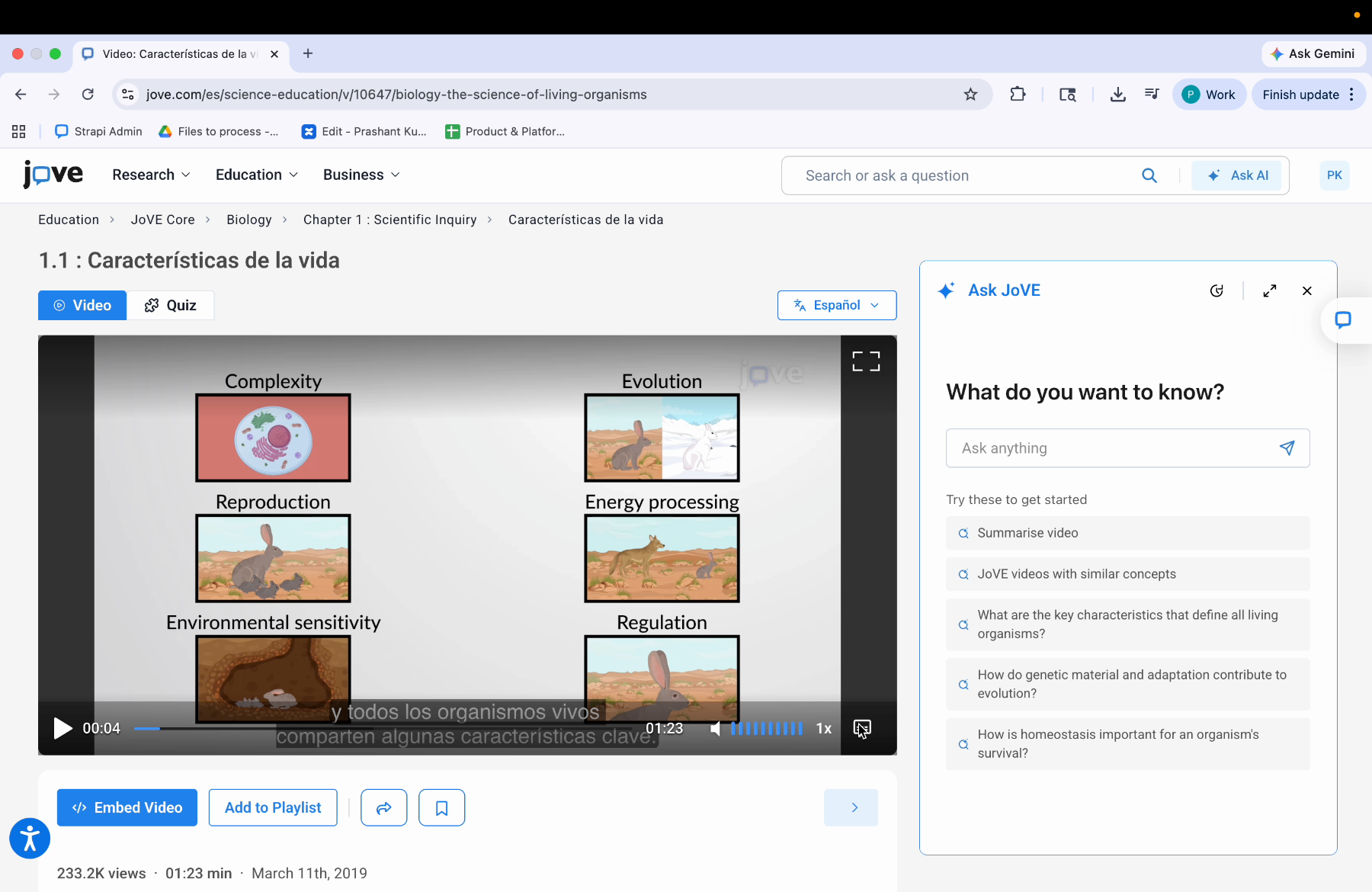 Video Player Language Control Button