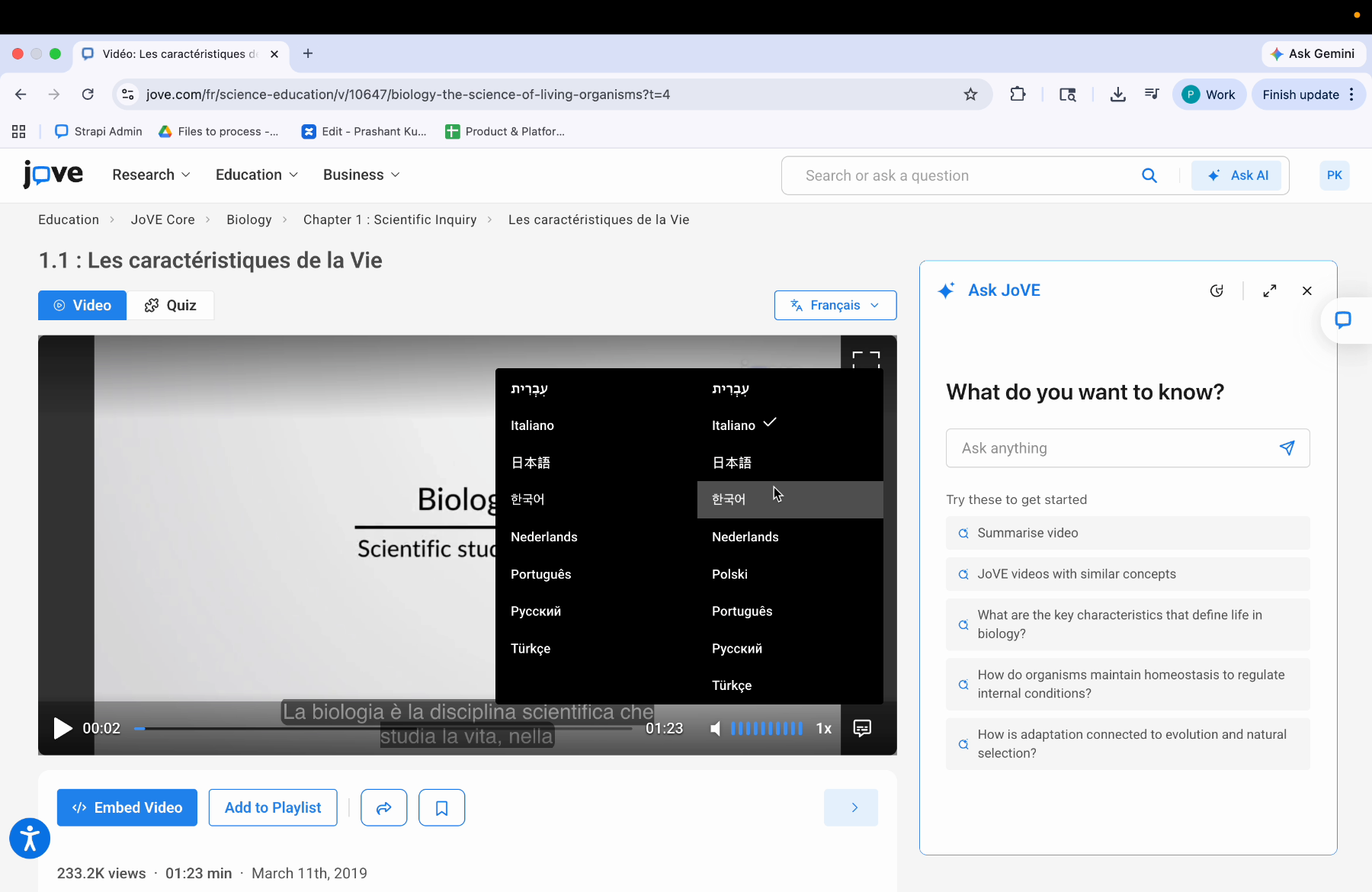 Audio Language Changes Both Audio And Subtitles