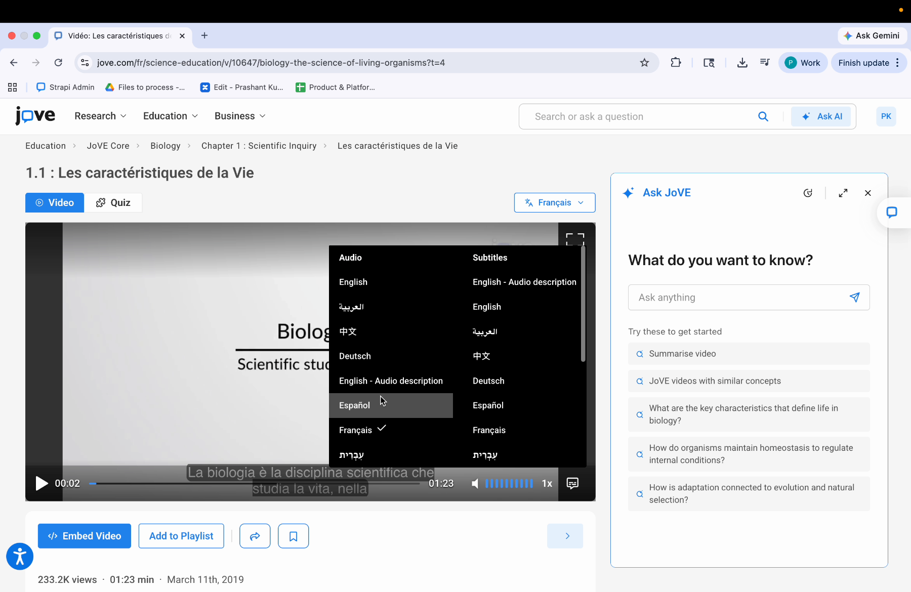 Current Audio And Subtitle Languages