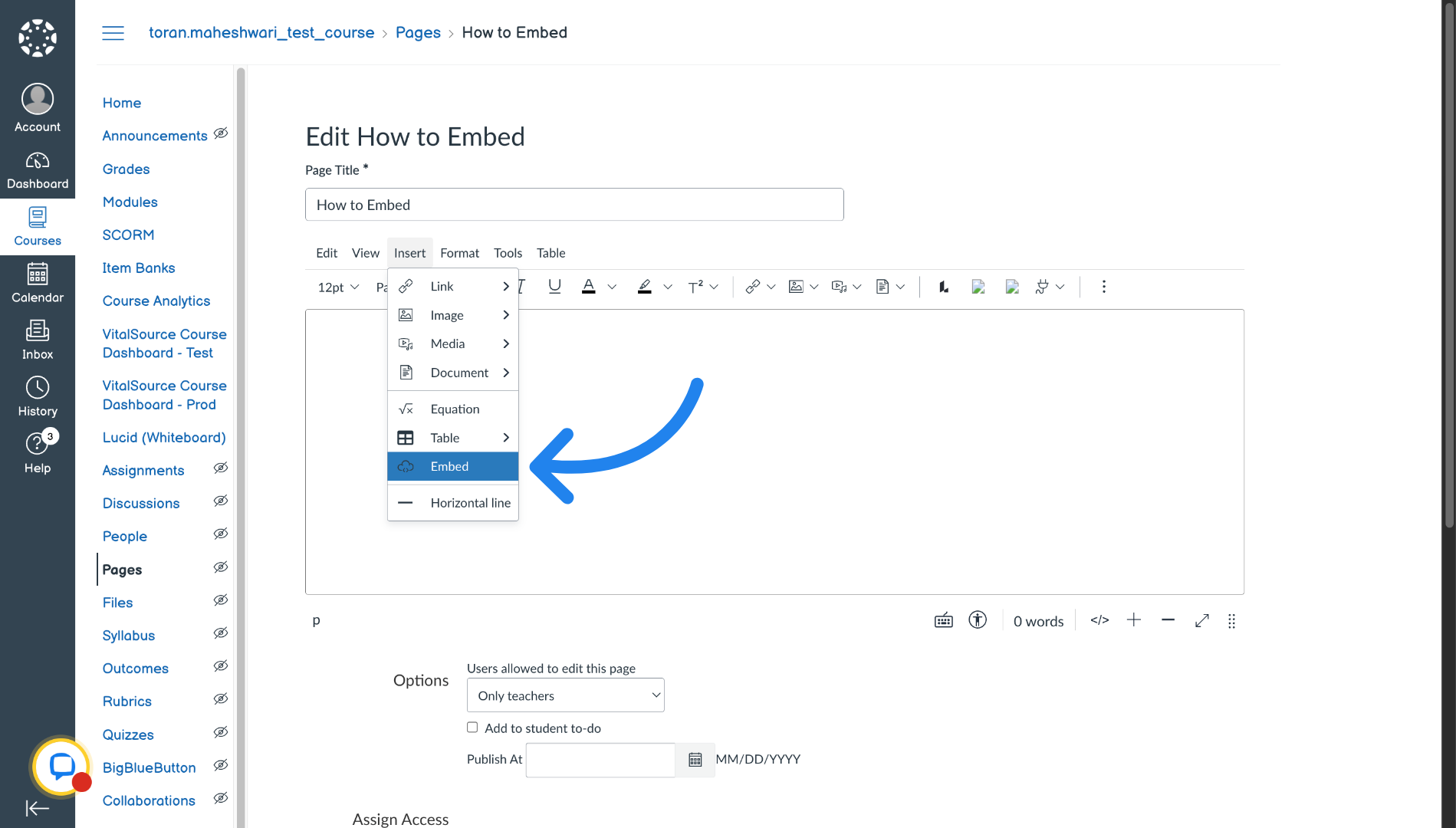 Choose Embed Option in Canvas
