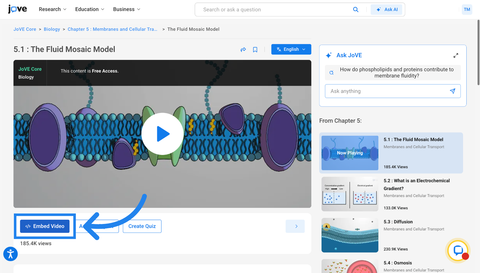 Access Embed Video Option
