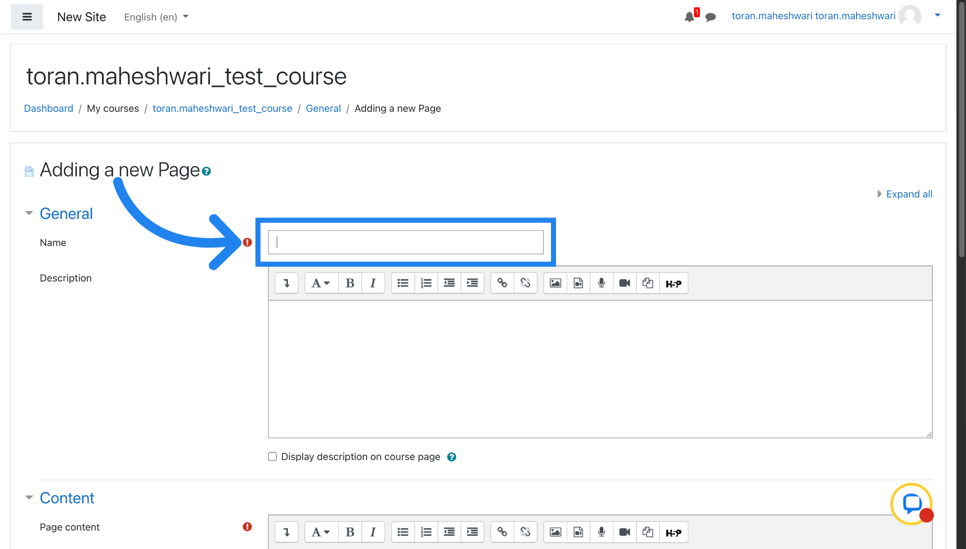 Access Page Name Field