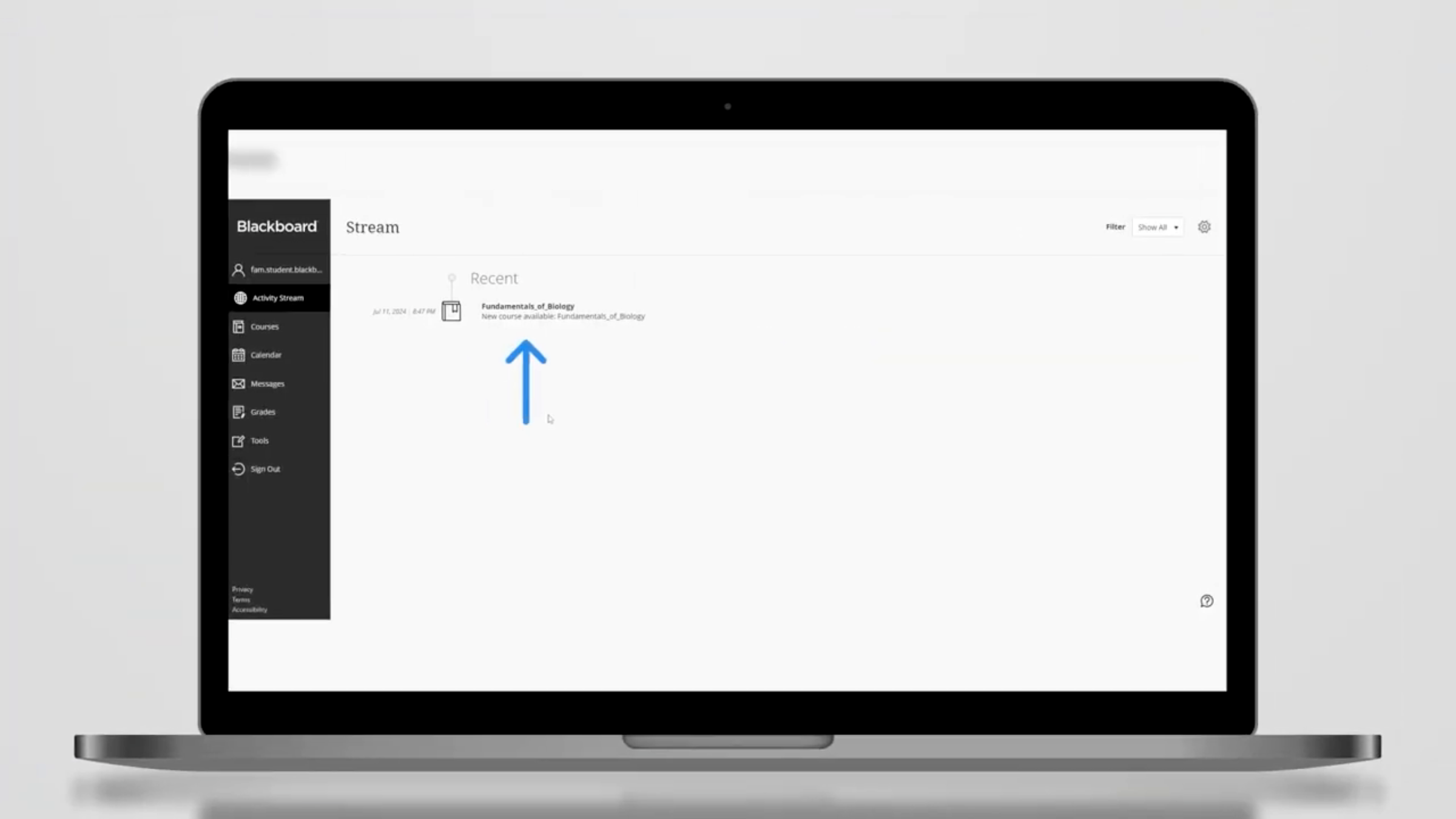 Navigating Blackboard Dashboard